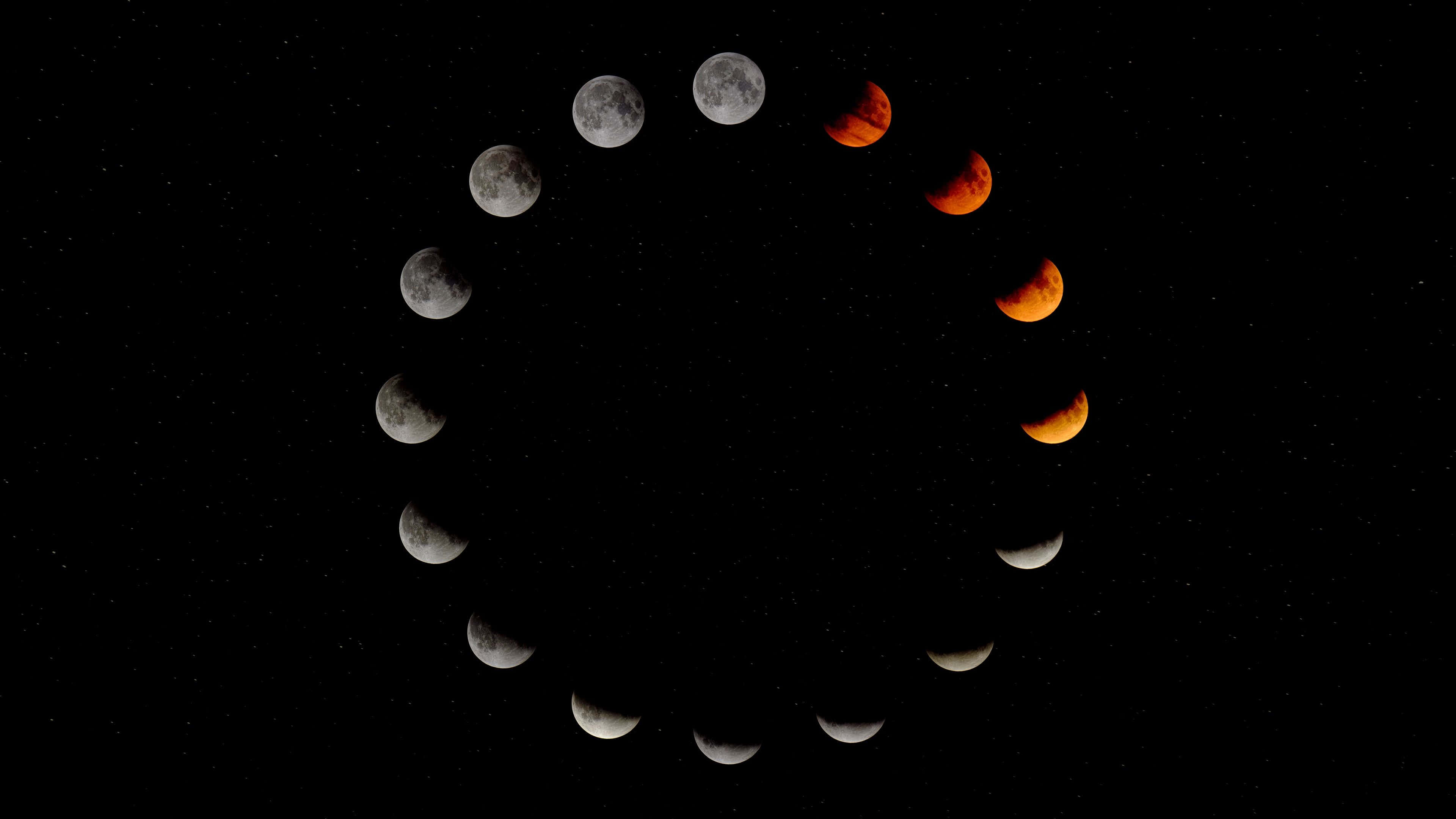 Moon Phases 桌布 壁紙 — 在繁星點點的夜空背景下，月相圓形序列顯示月全食變成血紅色。