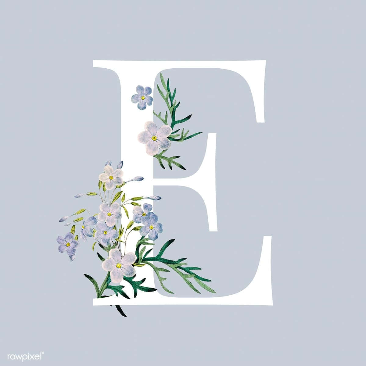 字母E以藍白色花朵和綠色葉子裝飾，灰色背景。
