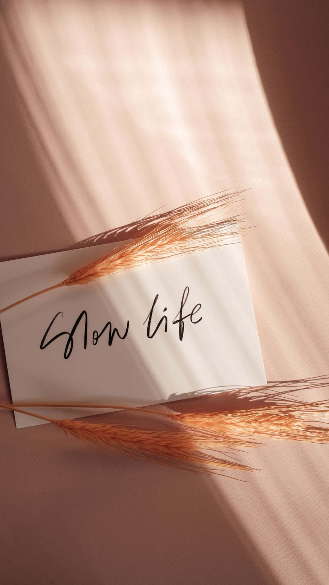 麥稈和「Slow life」便條沐浴在透過百葉窗的柔和陽光中。
