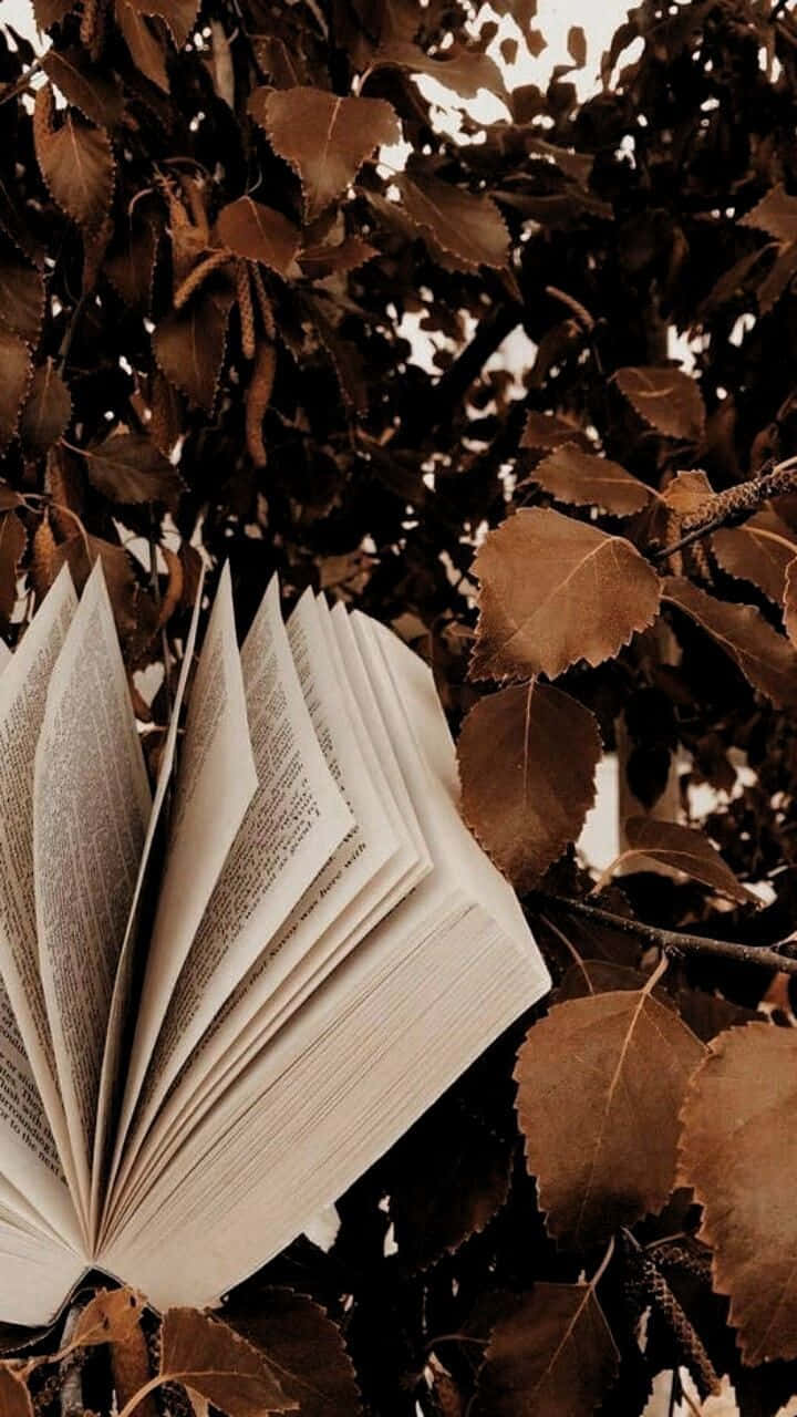 在自然與淺棕色氛圍中放鬆 壁紙 — 一本打開的書藏在秋葉之間，帶有懷舊的棕褐色調，柔和自然光線穿過樹枝。