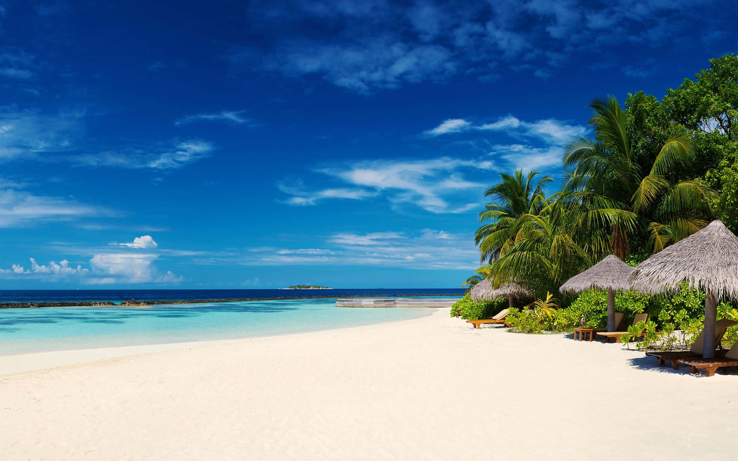 Maldives Beach 桌布 壁紙 — 在蔚藍天空與零星白雲下，一排棕櫚樹和茅草傘點綴著純淨的白色沙灘。