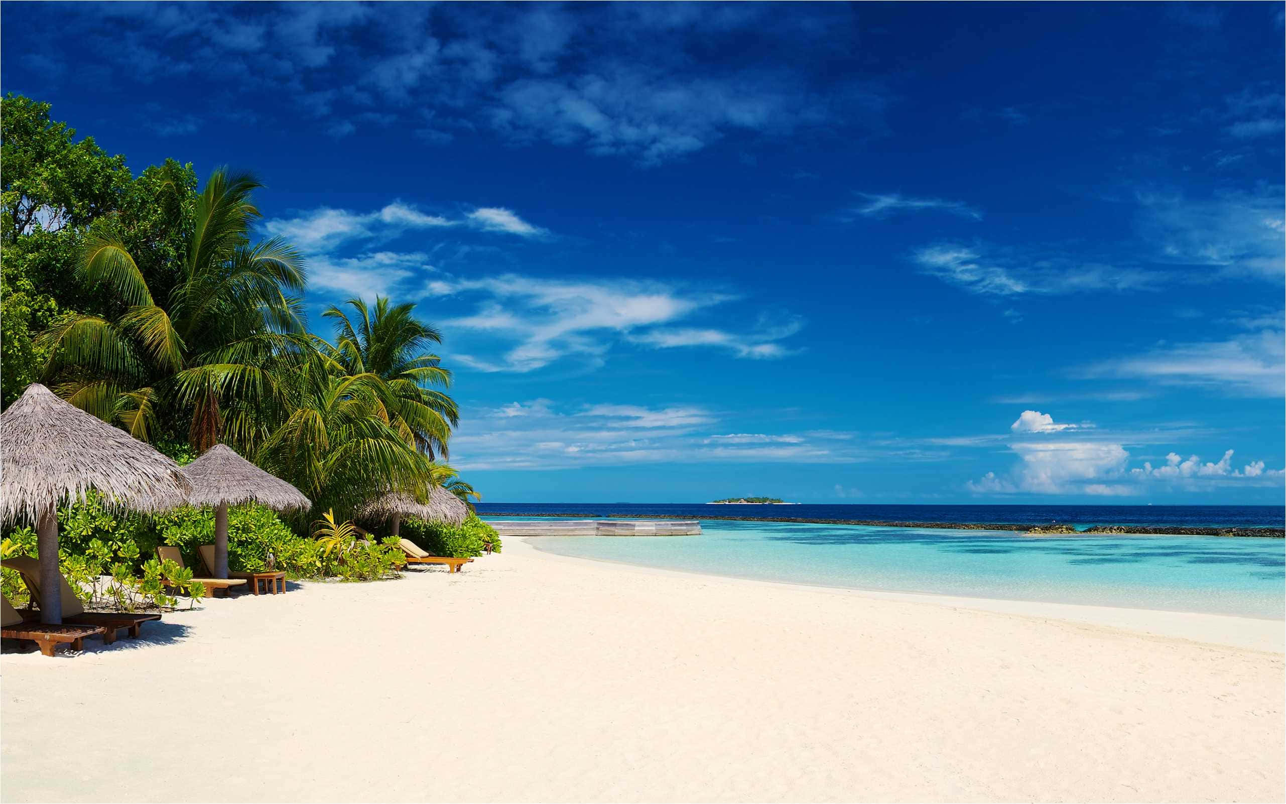 Maldives Beach 桌布 壁紙 — 在蔚藍天空與零星白雲下，一條純淨白沙灘，兩旁種滿棕櫚樹和茅草傘。