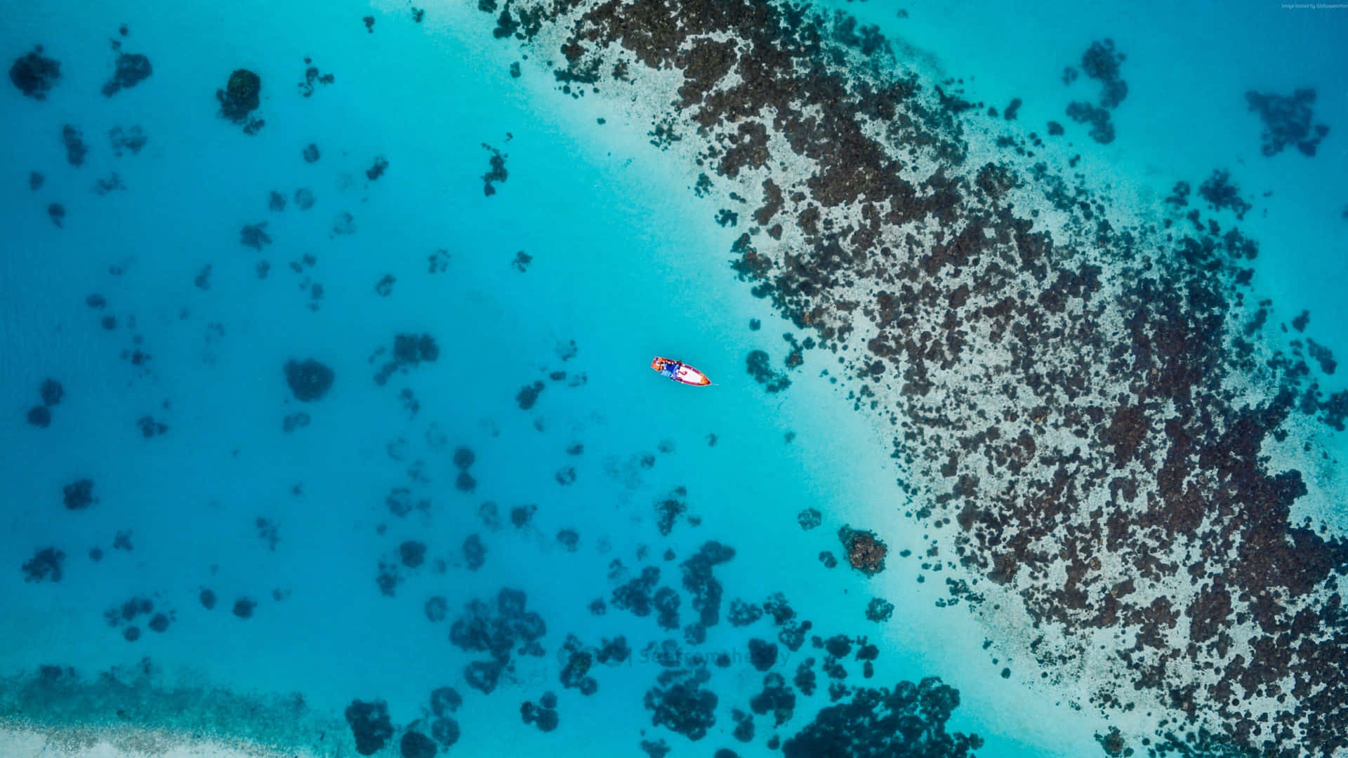 槳板上的人漂浮在珊瑚礁附近的碧綠海水中。