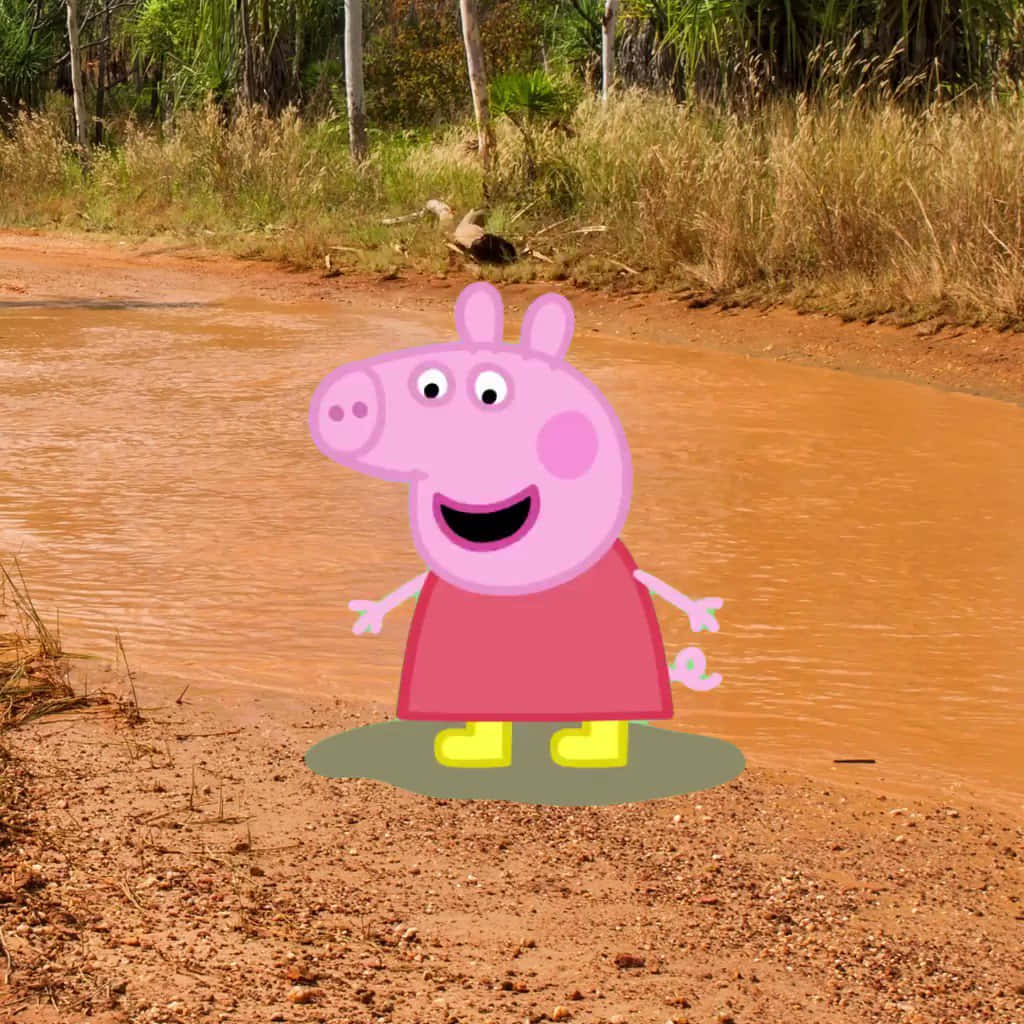 Peppa Pig 喺泥濘水氹入面，著住黃色水靴