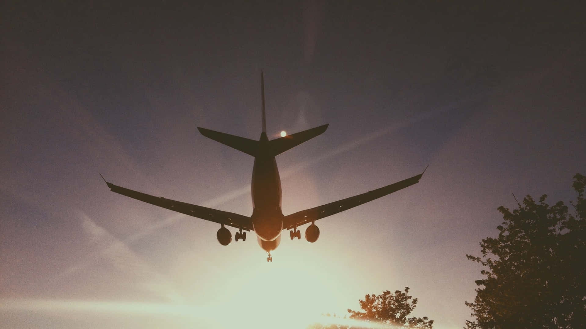 飛機剪影映襯日落天空，前景有樹木