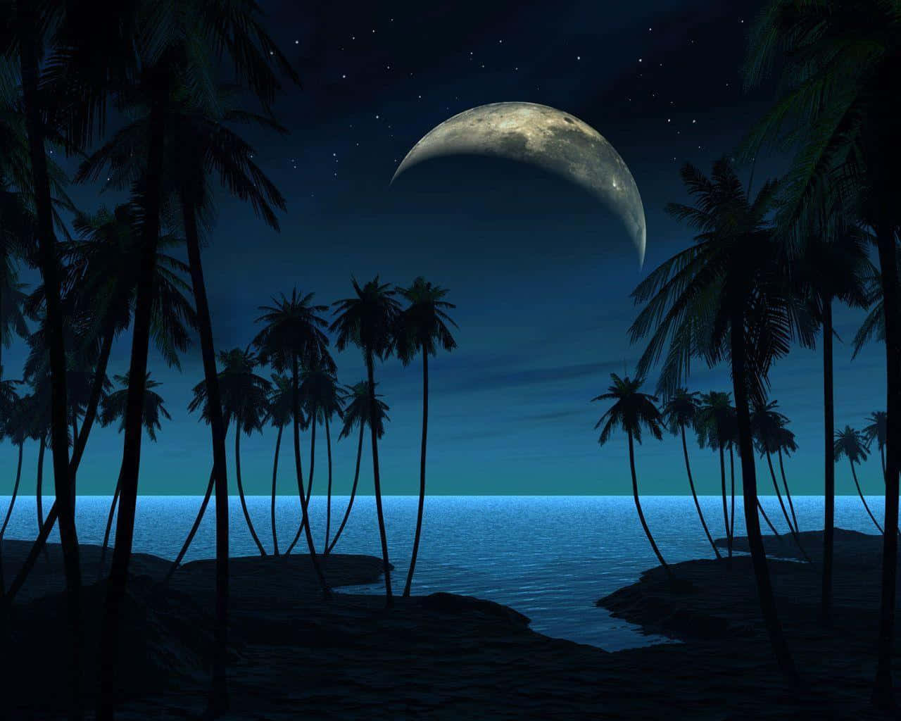 在閃爍的星空下放鬆與反思 壁紙 — 寧靜的熱帶夜晚海灘，棕櫚樹在彎月和星空下形成剪影。