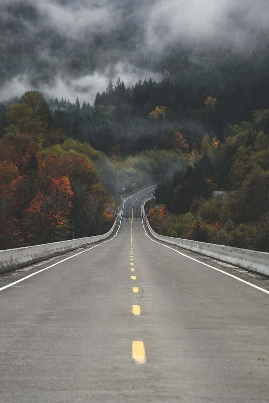 在開放道路上駛向遠方 壁紙 — 一條蜿蜒的道路穿過霧氣瀰漫的秋日森林，在陰天之下展現出鮮豔的紅色和橙色樹葉。