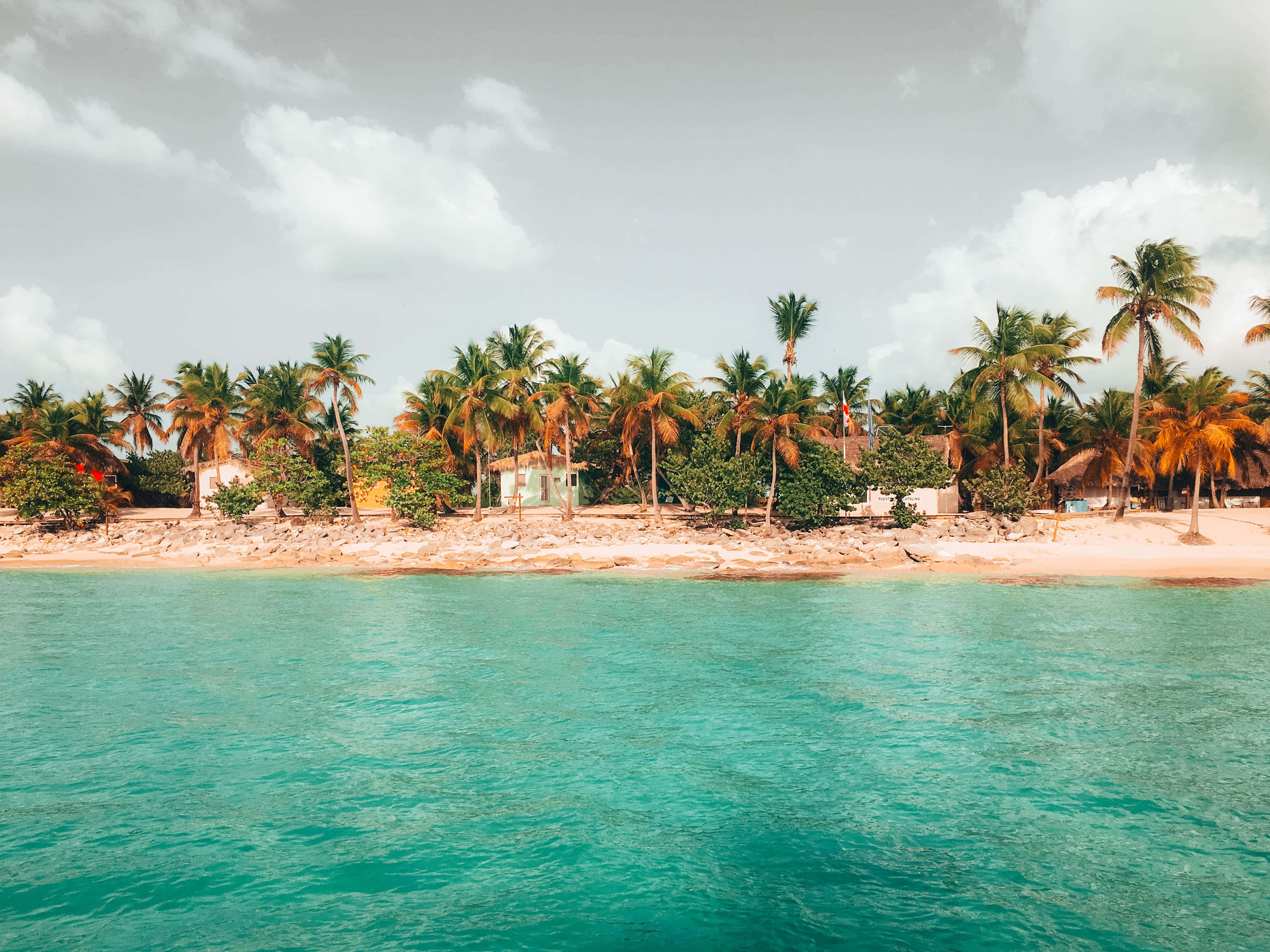Caribbean 桌布 壁紙 — 在陰天之下，碧綠的海浪輕輕拍打著沙灘，沙灘上種滿了茂密的棕櫚樹和質樸的海灘小屋。