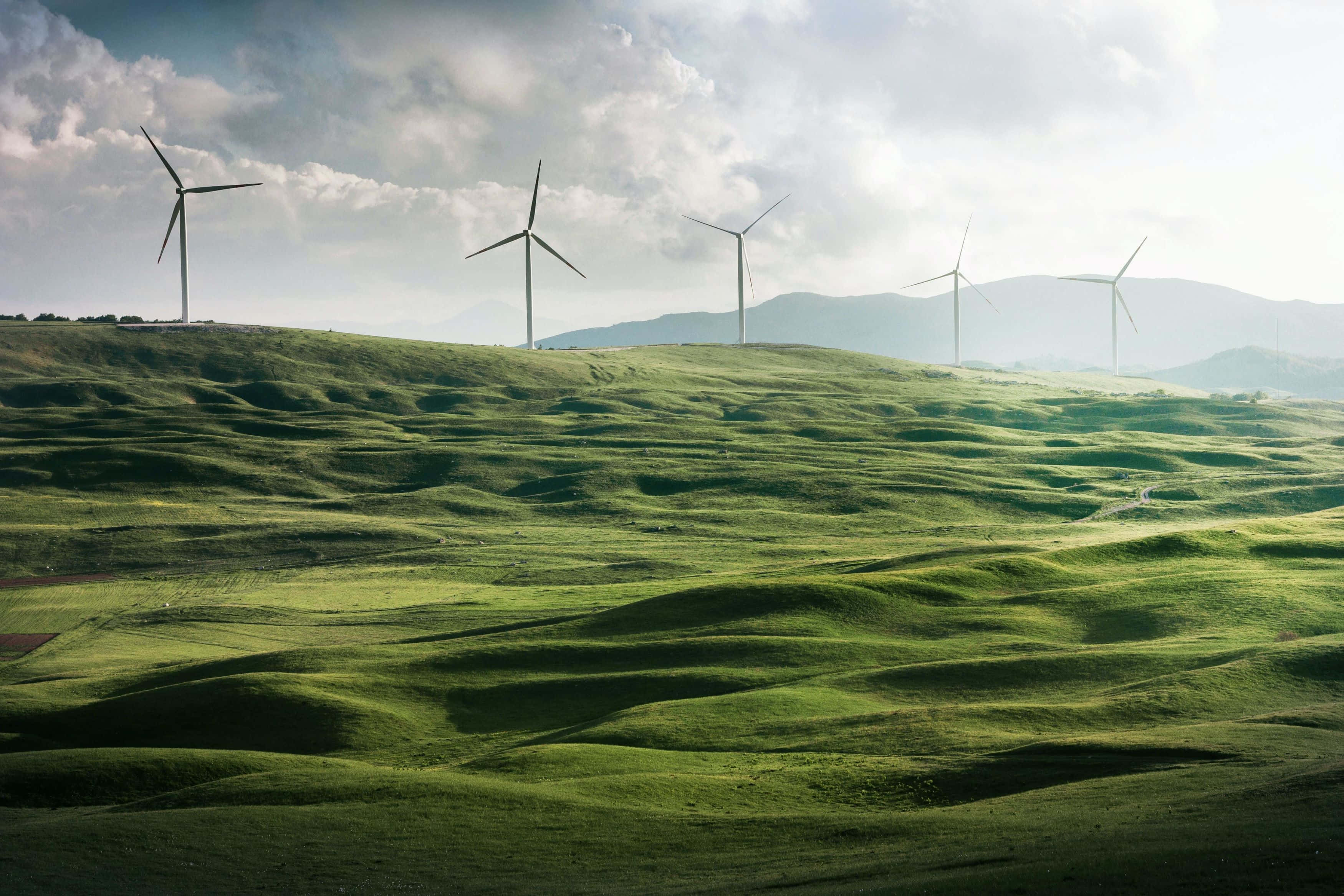 Renewable Energy 桌布 壁紙 — 在陰天和遠處山巒的背景下，點綴著風力渦輪機的起伏綠色山丘。