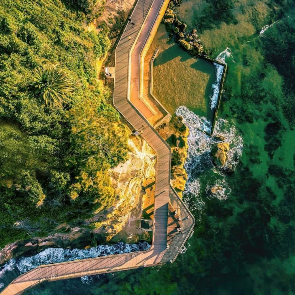 蜿蜒的木棧道沿懸崖而建，俯瞰碧綠海洋和綠色森林。