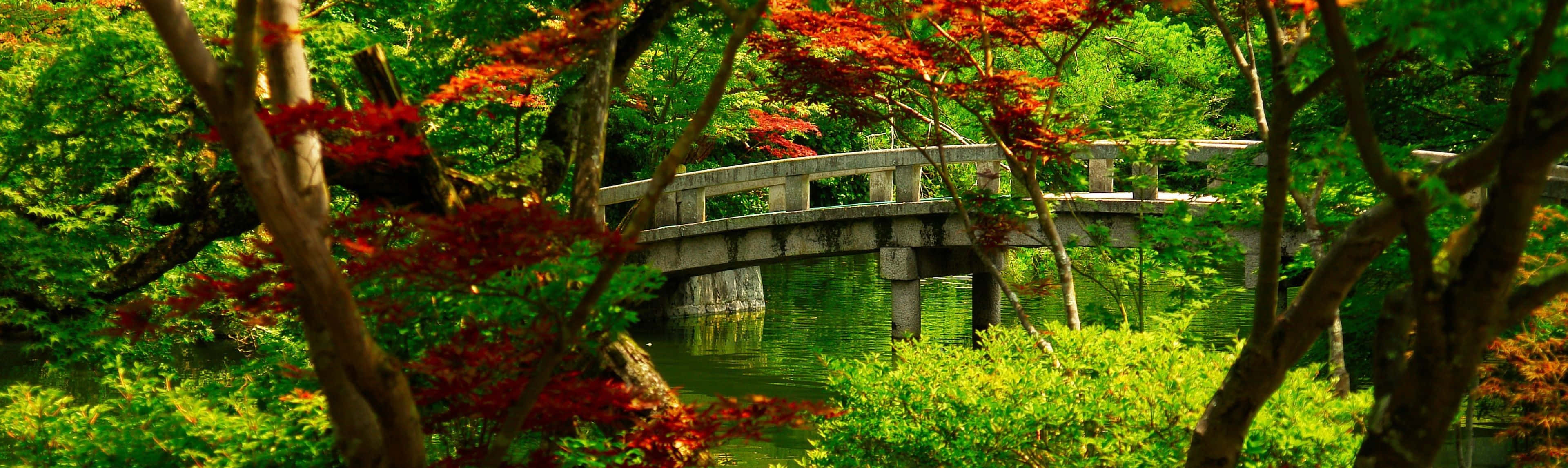 石橋橫跨池塘，周圍是紅葉和綠葉的秋樹。