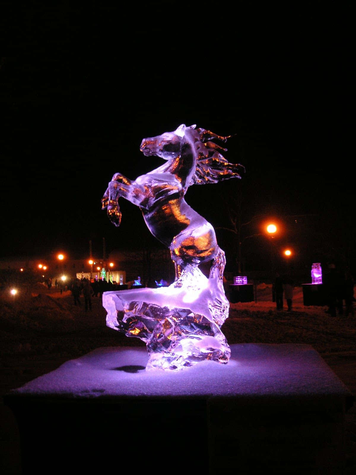Ice Sculpture 桌布 壁紙 — 在雪地夜間發光的紫色冰馬雕塑。