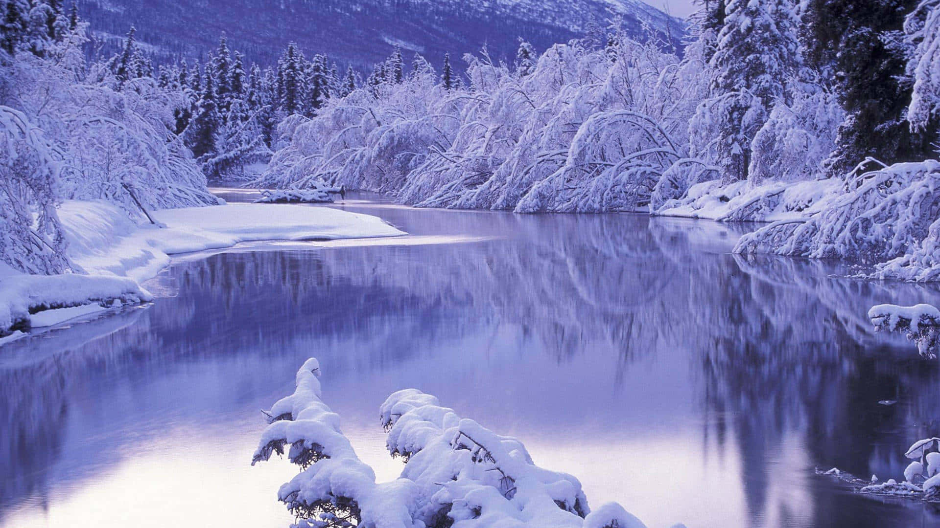 在雪景中享受筆電的溫暖與便利 壁紙 — 一條寧靜的冬日河流，在柔和的暮色天空下映照著積雪的樹木和山脈。