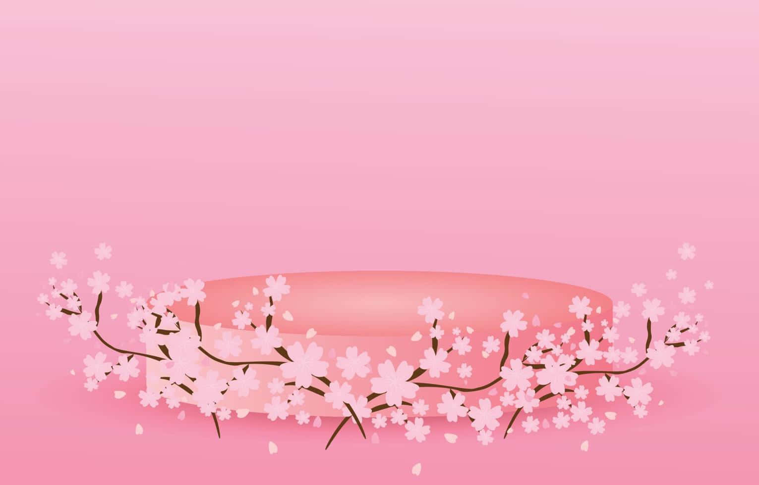 在電腦背景中欣賞日本櫻花季的美景 壁紙 — 粉紅櫻花枝優雅地拱起在柔和的粉紅色講台上，背景為漸變色。