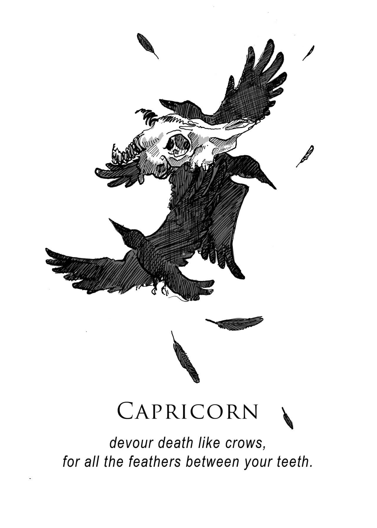 烏鴉頭骨帶翅膀和飄落的羽毛，標有 Capricorn