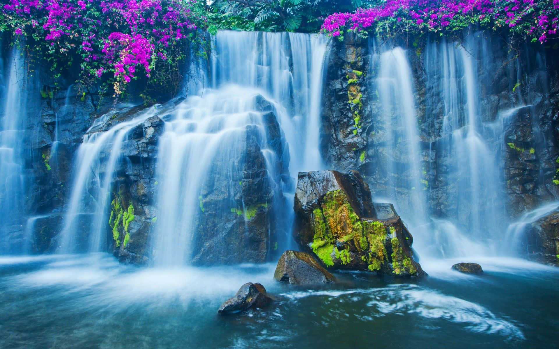 3d Waterfall 桌布 壁紙 — 在鬱鬱蔥蔥的熱帶環境中，一條寧靜的瀑布從長滿苔蘚的岩石上傾瀉而下，下方是生機勃勃的紫色開花藤蔓。