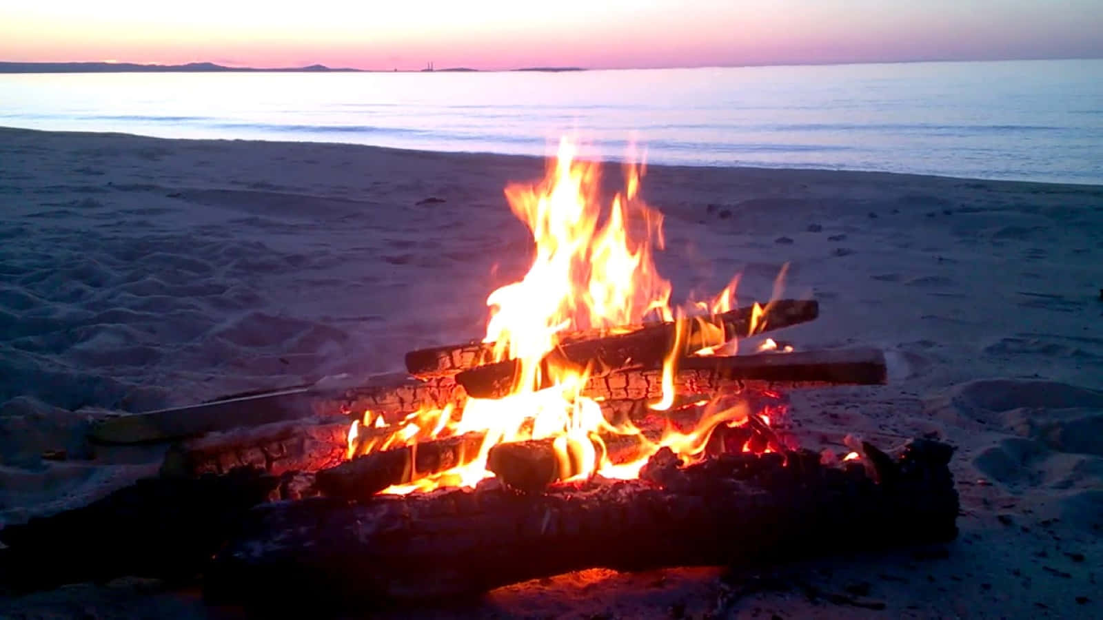 Beach Bonfire 桌布 壁紙 — 在黃昏的沙灘上，熊熊營火明亮燃燒，平靜的海水與遠方粉紫交織的天空相映成趣。