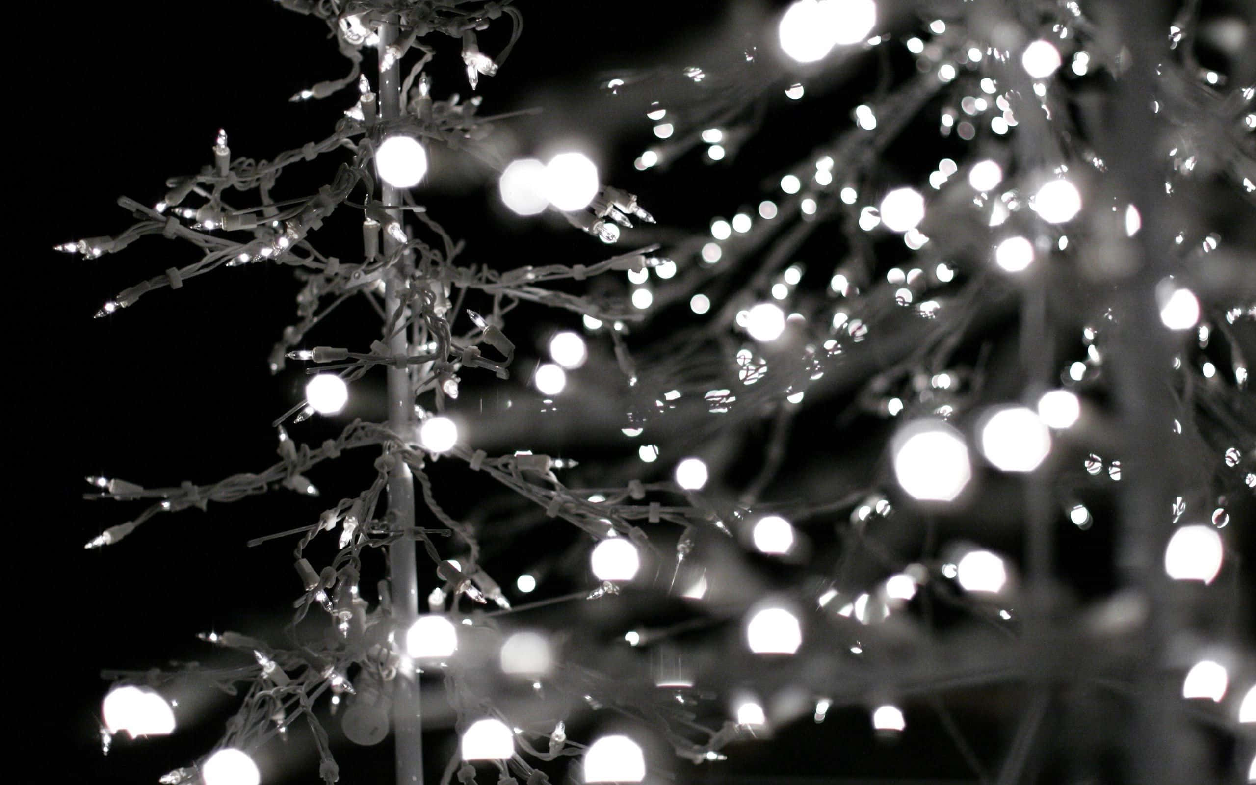 Dark Christmas 桌布 壁紙 — 在黑暗夜空背景下，纏繞在光禿樹枝上的發光串燈的單色特寫。