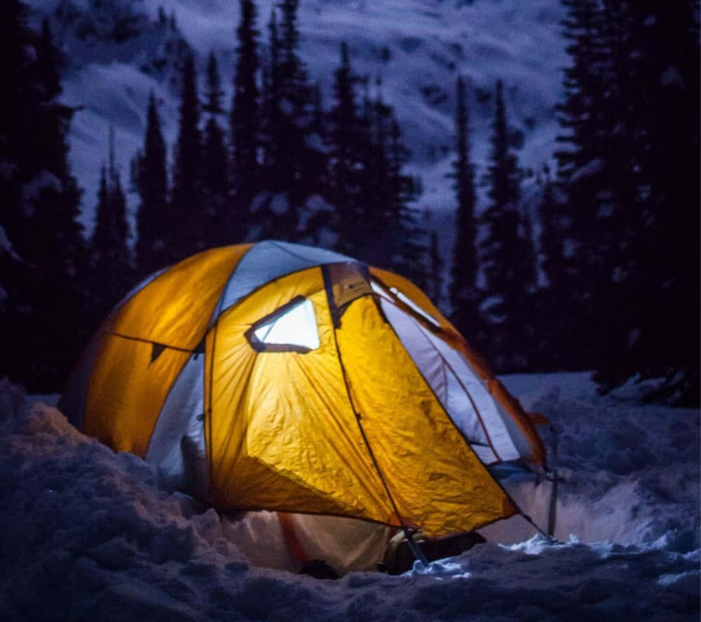 Winter Camping 桌布 壁紙 — 在黑暗的暮色天空下，雪地樹林中閃耀的黃色帳篷，背後是松樹的剪影。