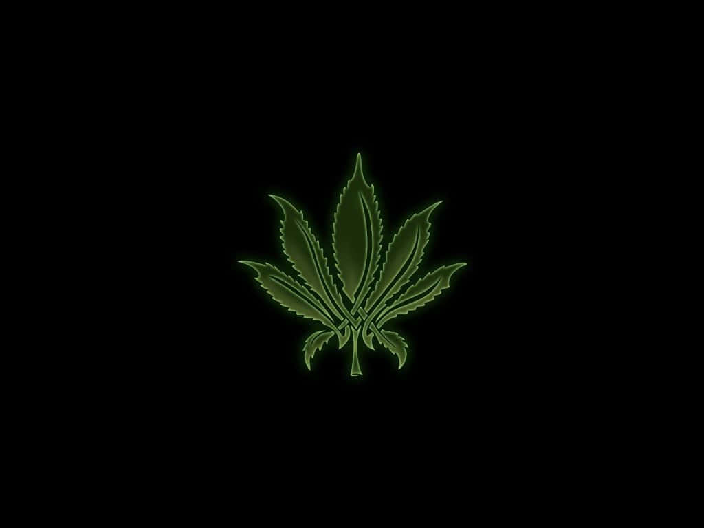 Weed Leaf 桌布 壁紙 — 在黑色背景上居中放置的發光綠色大麻葉，帶有霓虹燈輪廓效果。