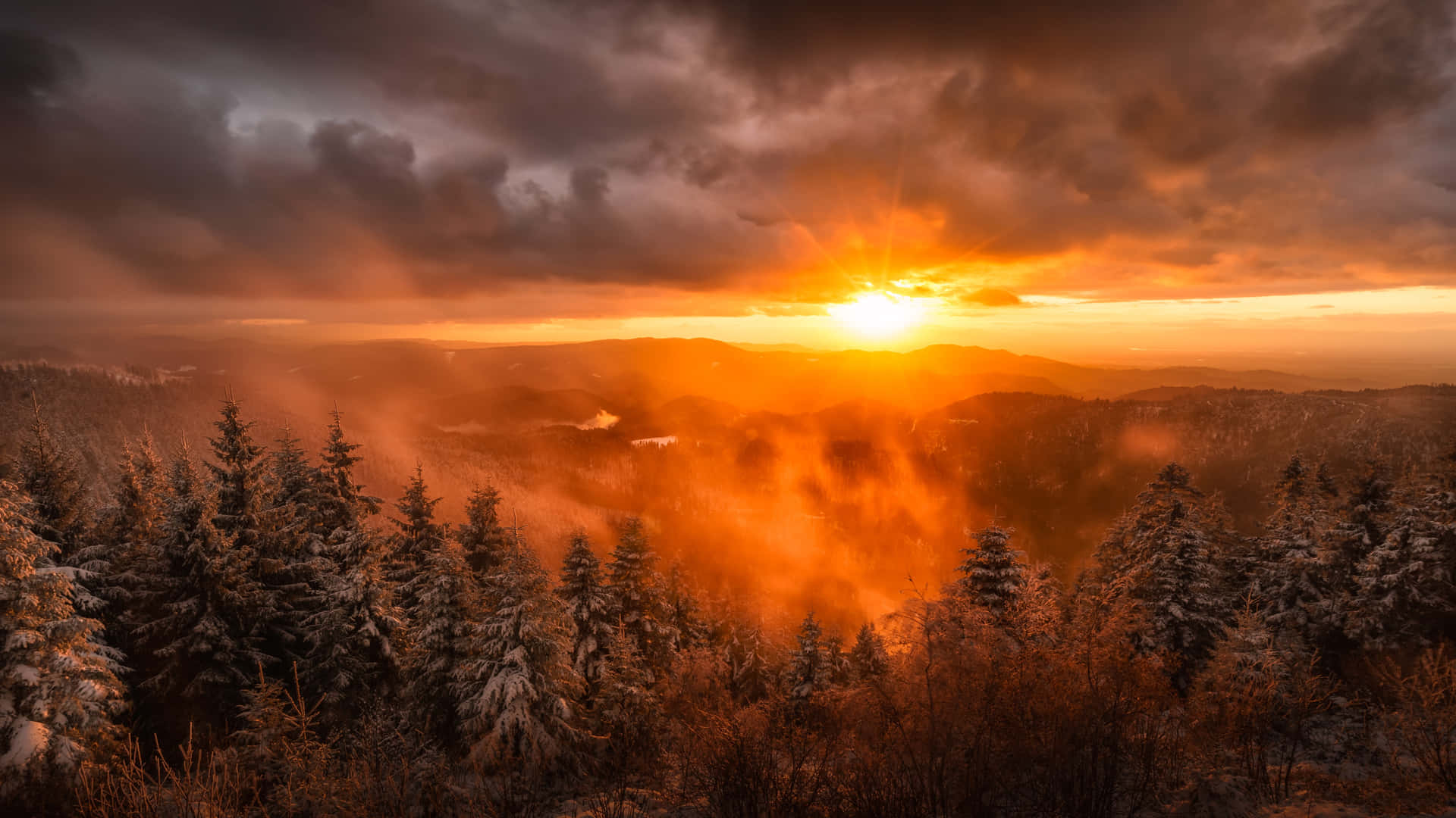 在戲劇性的橙色夕陽下，白雪覆蓋的松樹與霧氣瀰漫的山谷。