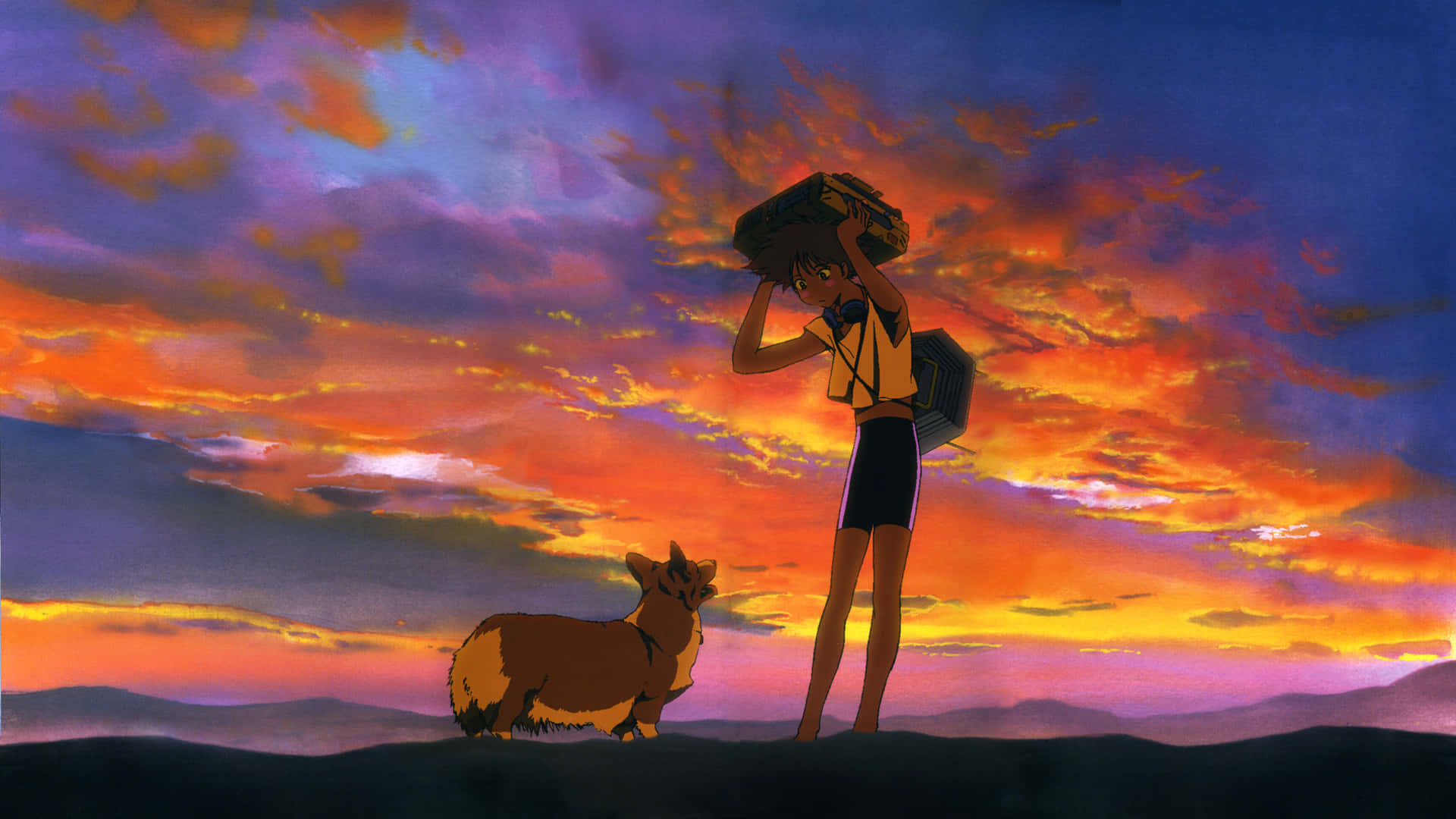 少女和哥基犬站在山上看日落