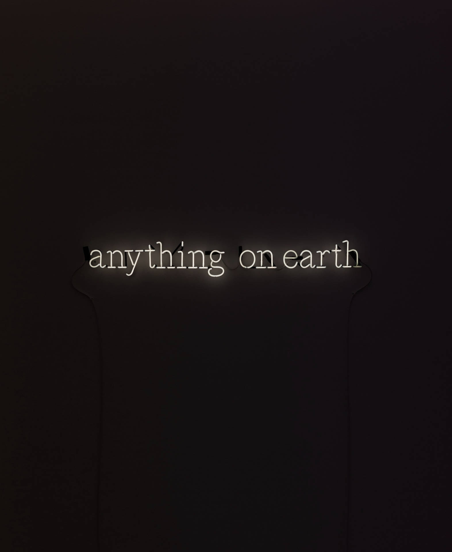深色牆上寫着 anything on earth 的霓虹燈牌。