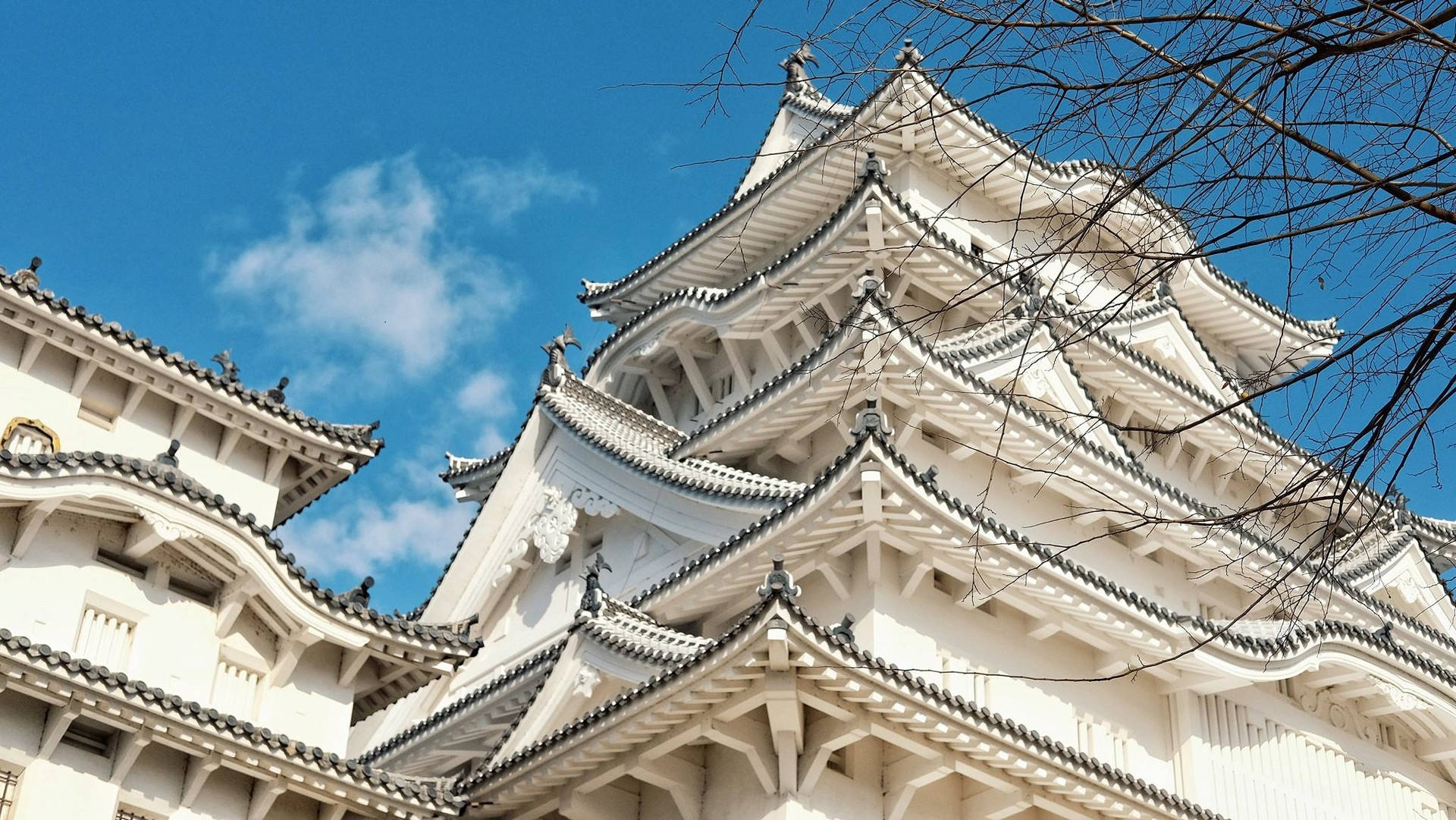 白色日本城堡，階梯式屋頂，明亮藍天下有光禿樹枝。