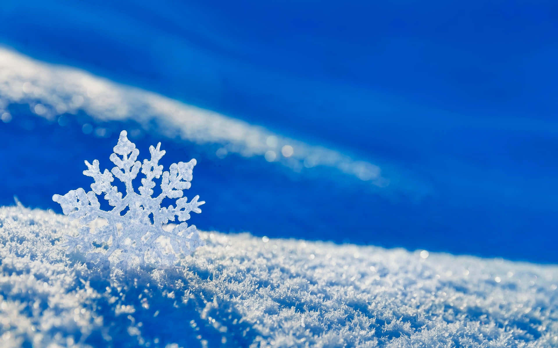 在藍天下，雪地上的一片詳細雪花。