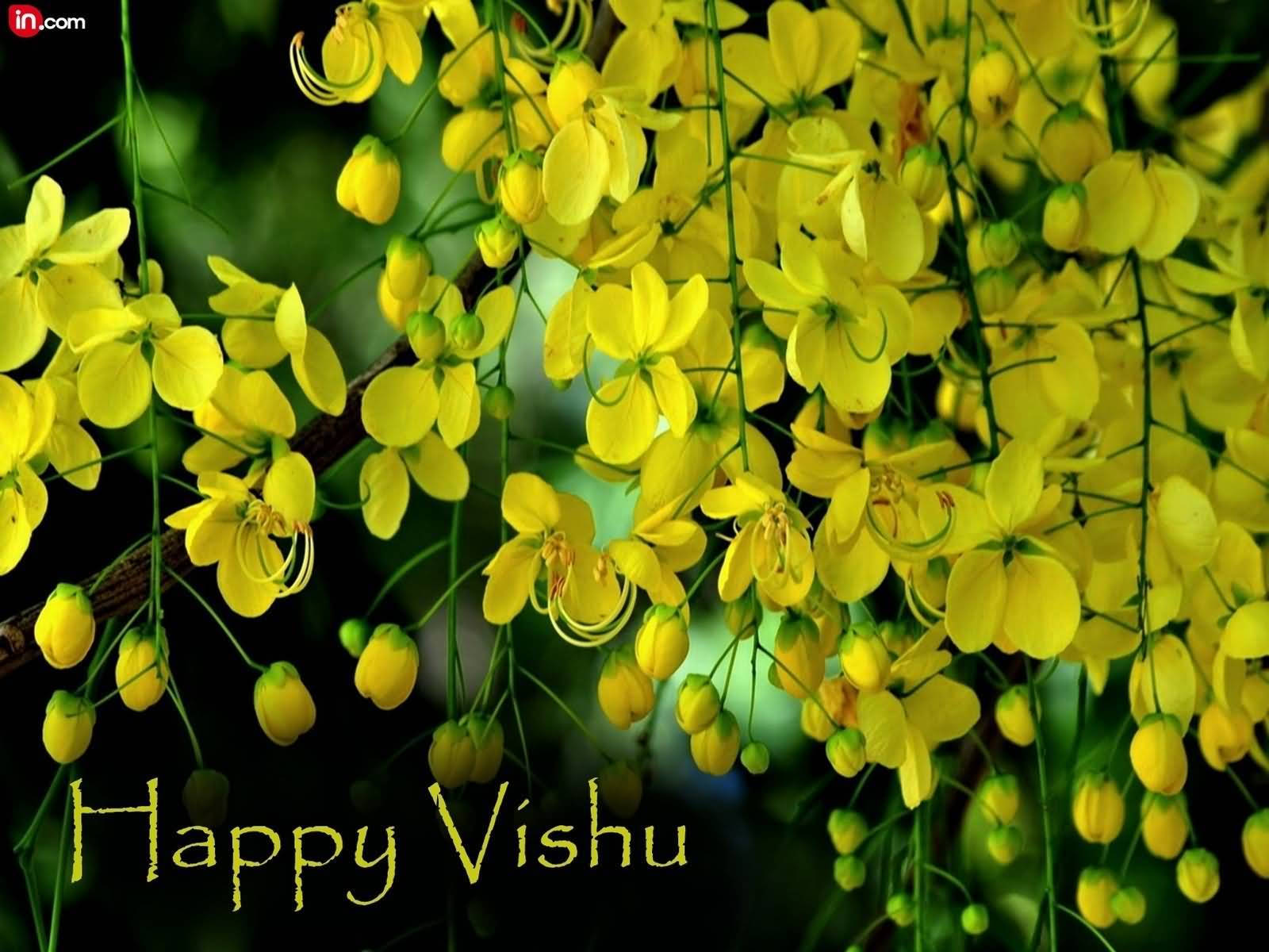 黃色花朵配綠色莖和「Happy Vishu」文字。