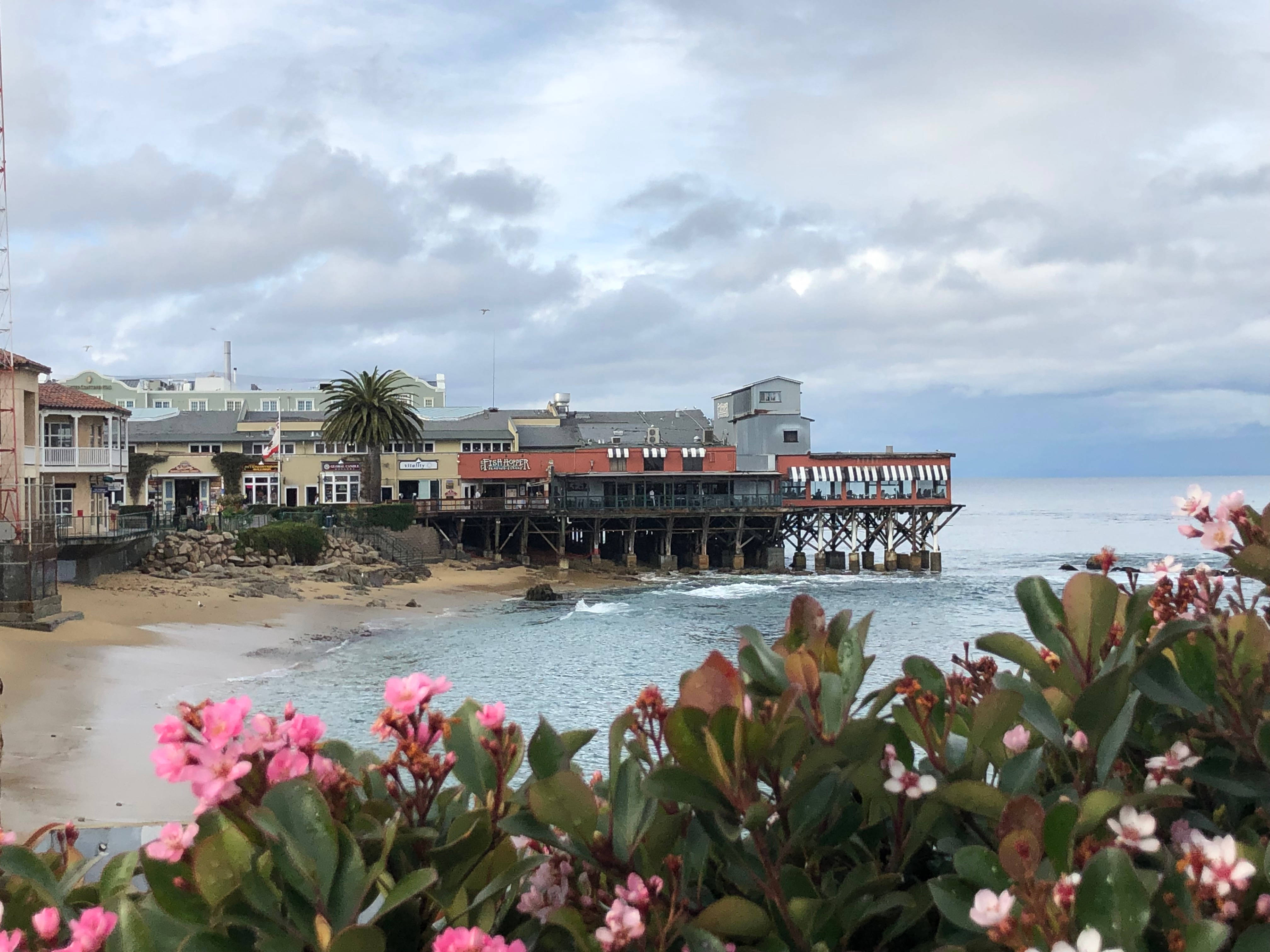 坎農行街海岸旁的花朵 壁紙 — 粉紅色的花朵框住了一個海岸場景，有一個木製碼頭餐廳，俯瞰著多雲天空下平靜的海洋。