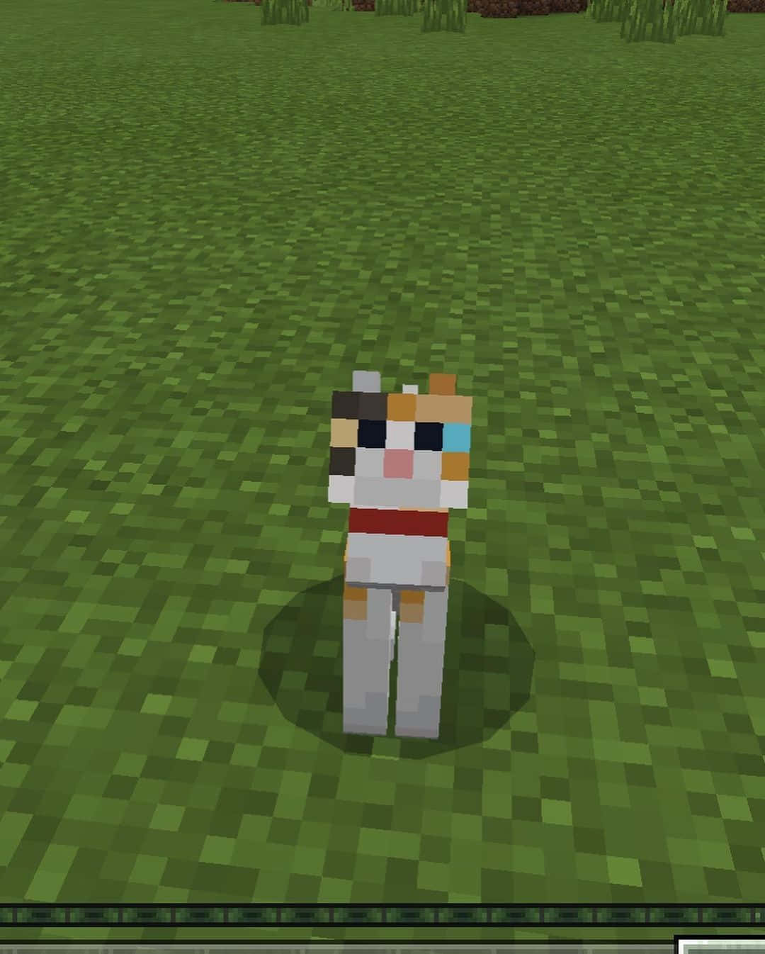 一個Minecraft角色，擁有色彩繽紛的臉孔和紅色腰帶，站在草地上。