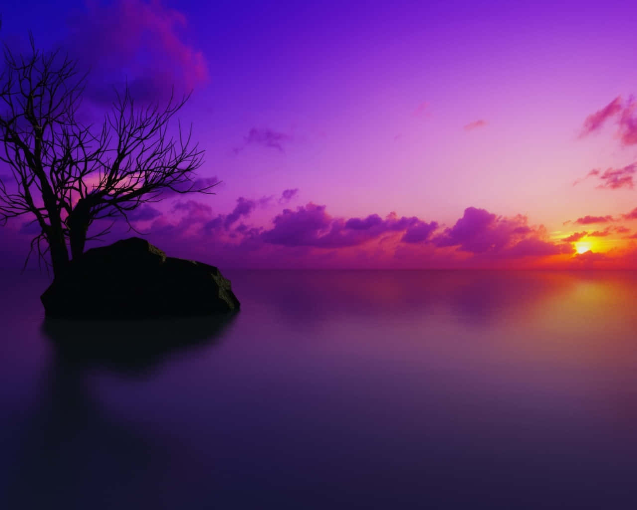 平靜水面上鮮豔紫橙色夕陽，岩石上的剪影樹