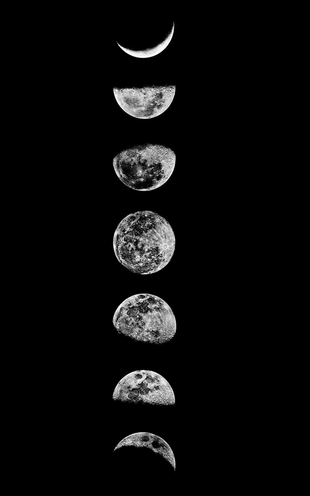 Moon Phases 桌布 壁紙 — 垂直排列的月相序列，從新月到滿月再到新月，襯以純黑背景。