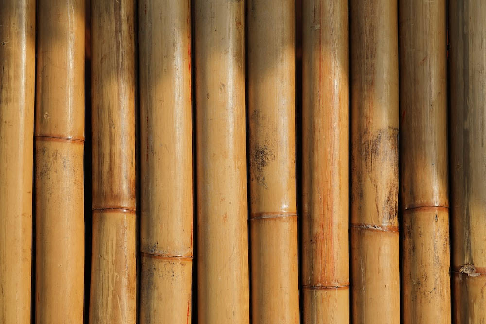 bamboo 4K 桌布 壁紙 — 垂直竹莖帶有天然紋理和溫暖金色色調，營造出有紋理的有機牆面圖案。