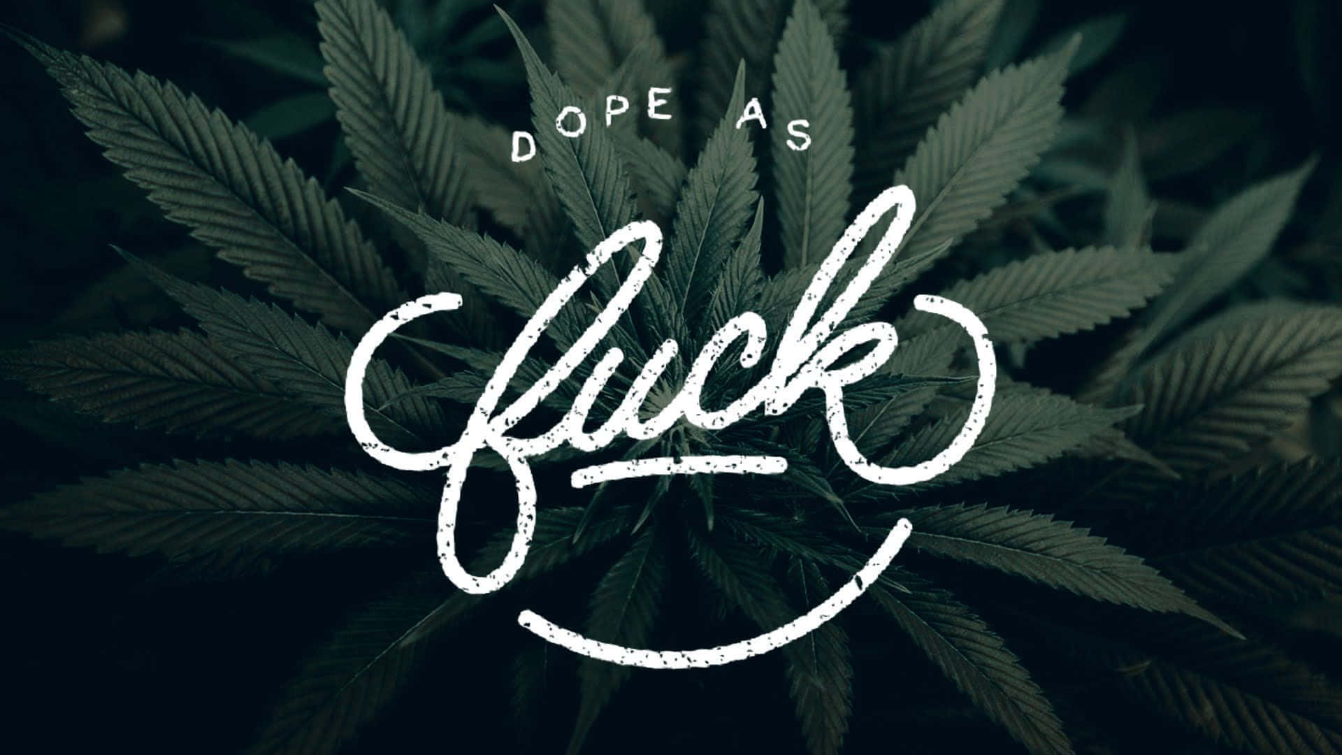 型格圖片 壁紙