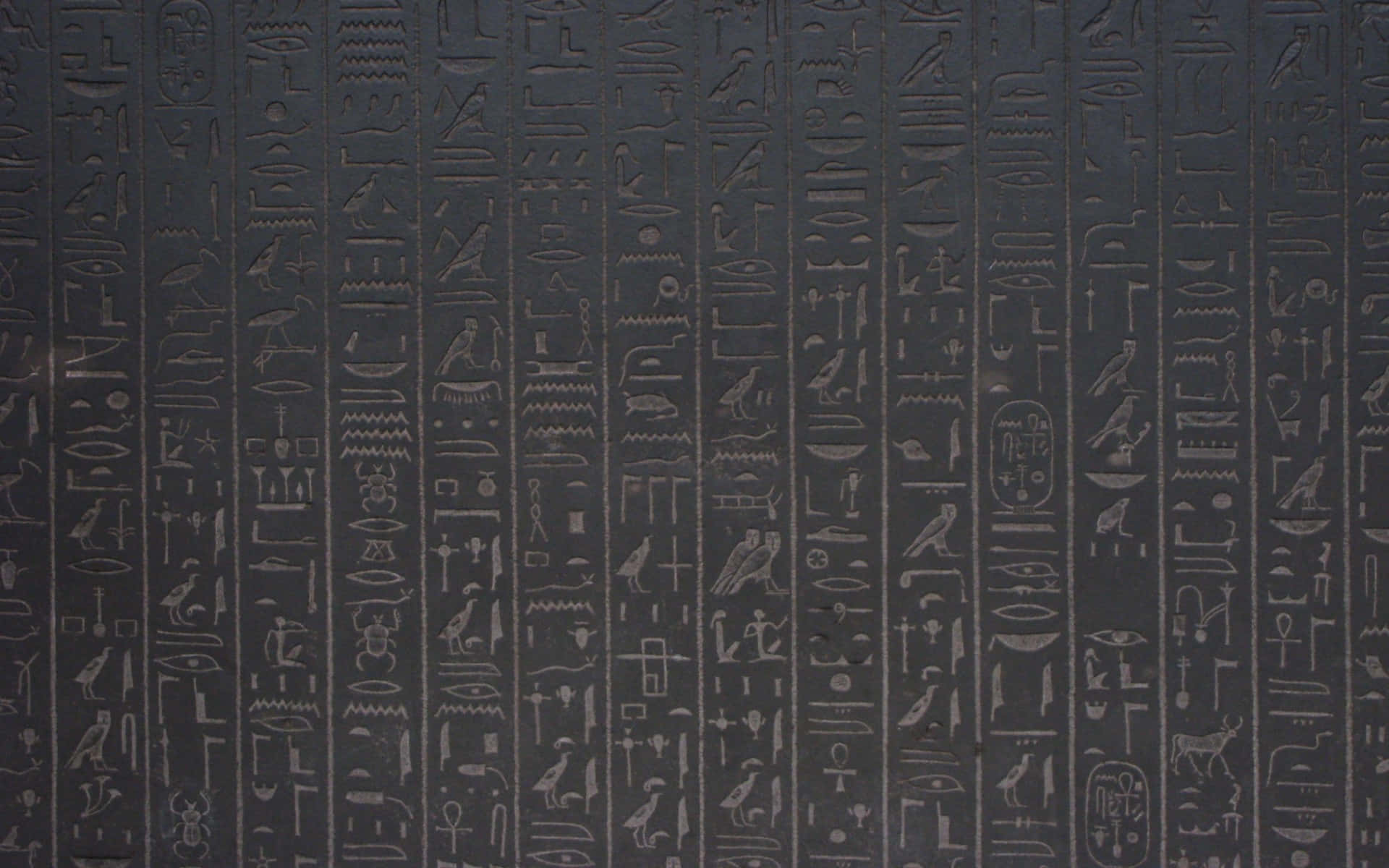 埃及吉薩的大獅身人面像 壁紙 — 暗色石頭上雕刻著複雜符號和人物的古埃及象形文字特寫。