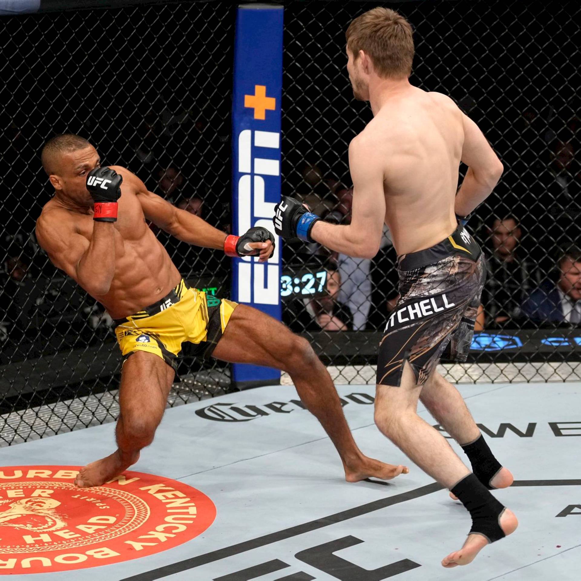 八角籠中的兩名MMA拳手，在UFC比賽中一人踢向另一人。