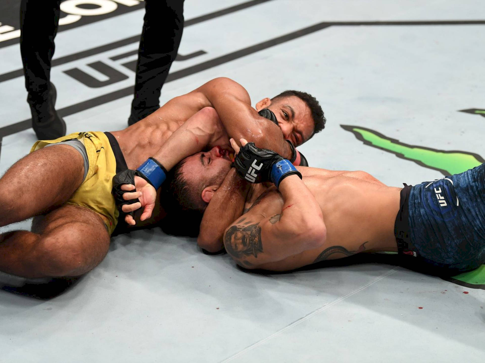兩名MMA拳手在UFC比賽中被鎖喉鎖定。