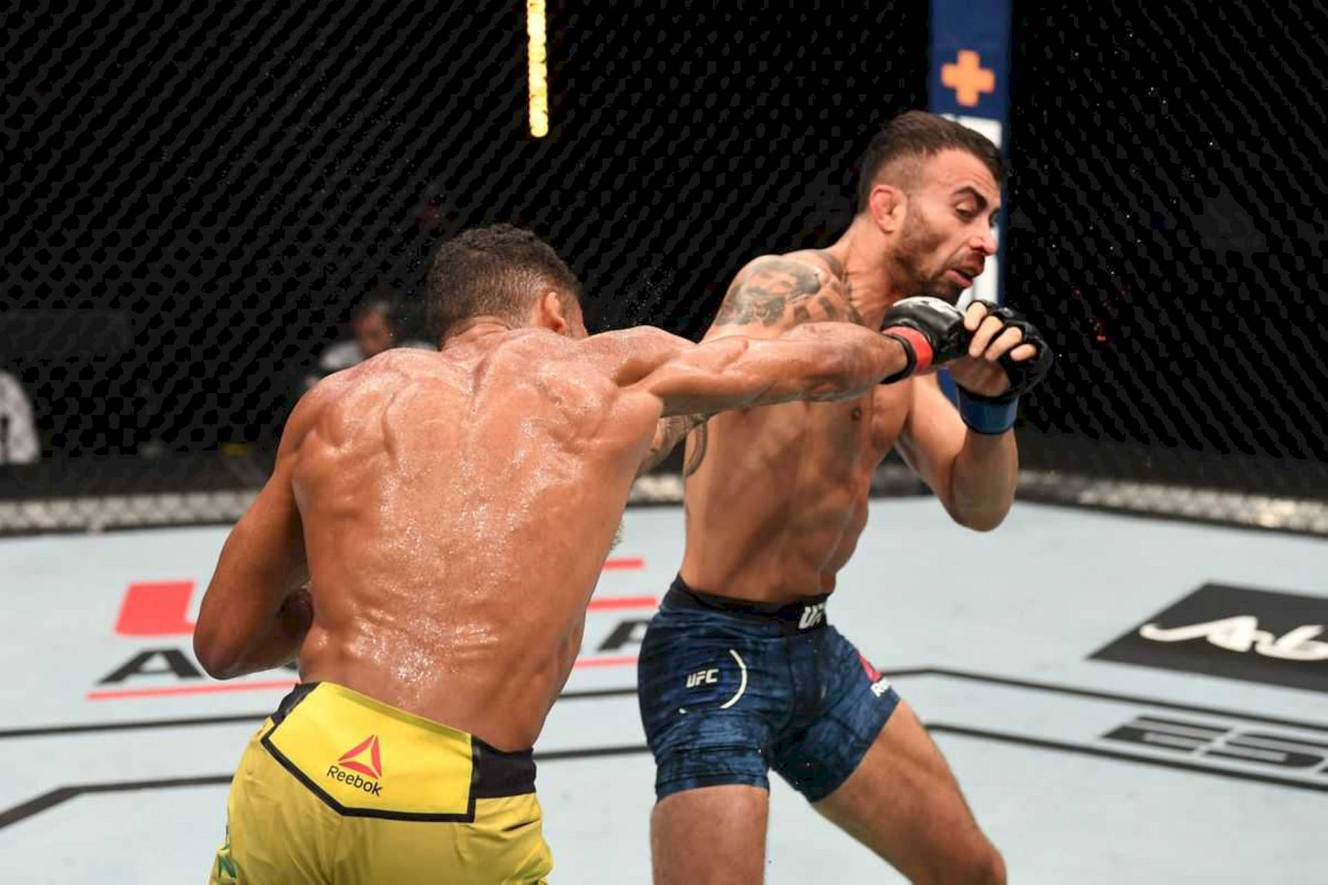 兩名MMA拳手在八角籠中激烈比賽，一人揮出一拳。