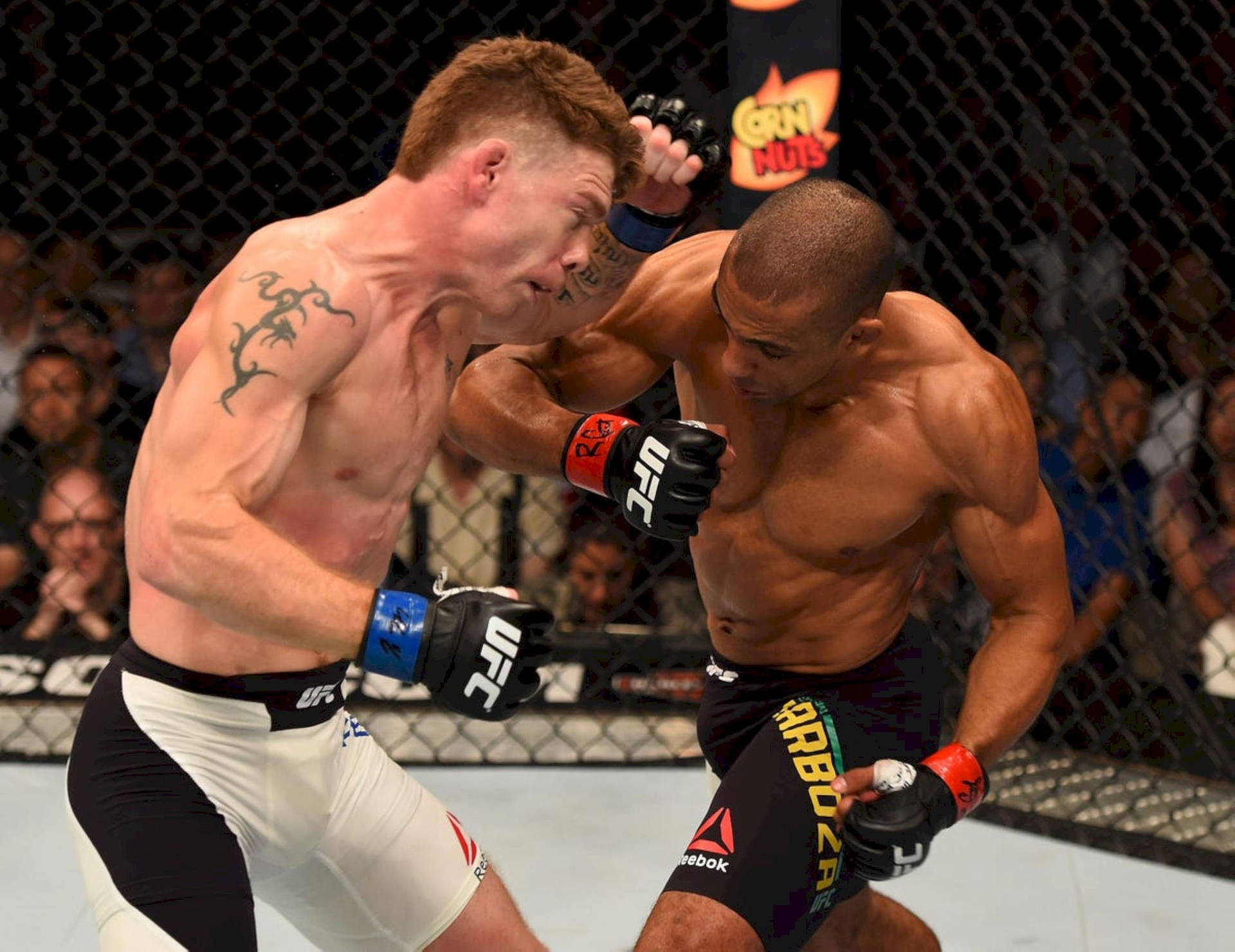 兩位MMA拳手在UFC比賽期間於八角籠內互相出拳。