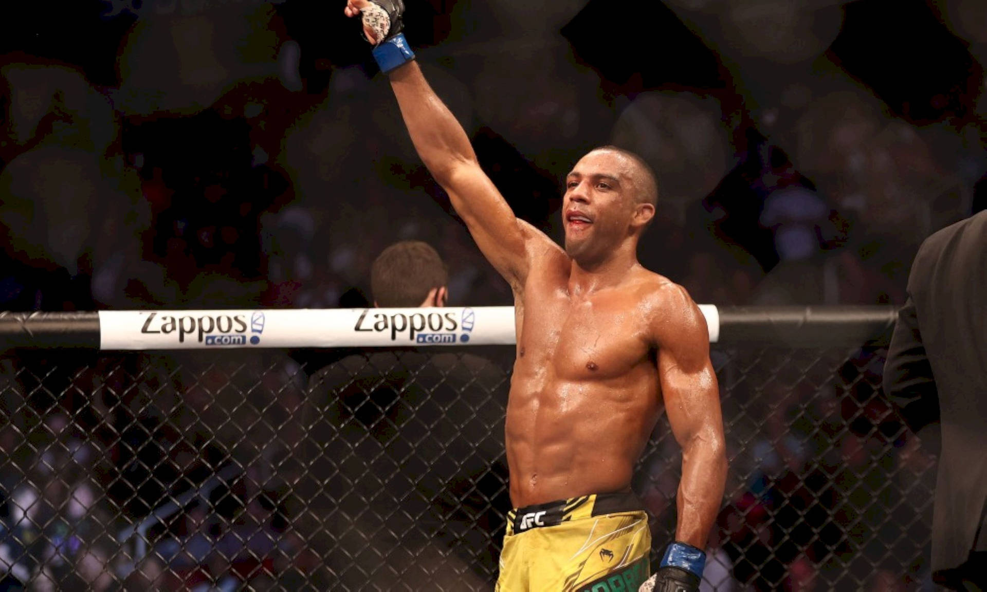 MMA拳手喺八角籠內舉起拳頭慶祝勝利。