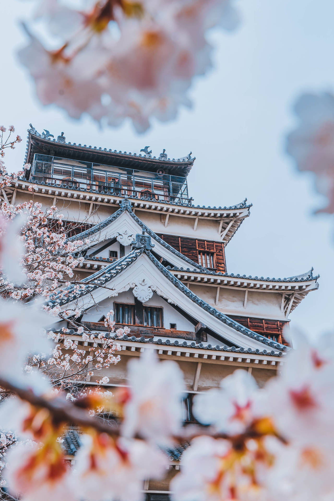 城堡與日本櫻花 壁紙 — 一座傳統日本城堡，被盛開的柔和粉紅櫻花環繞，映襯著淡色天空。