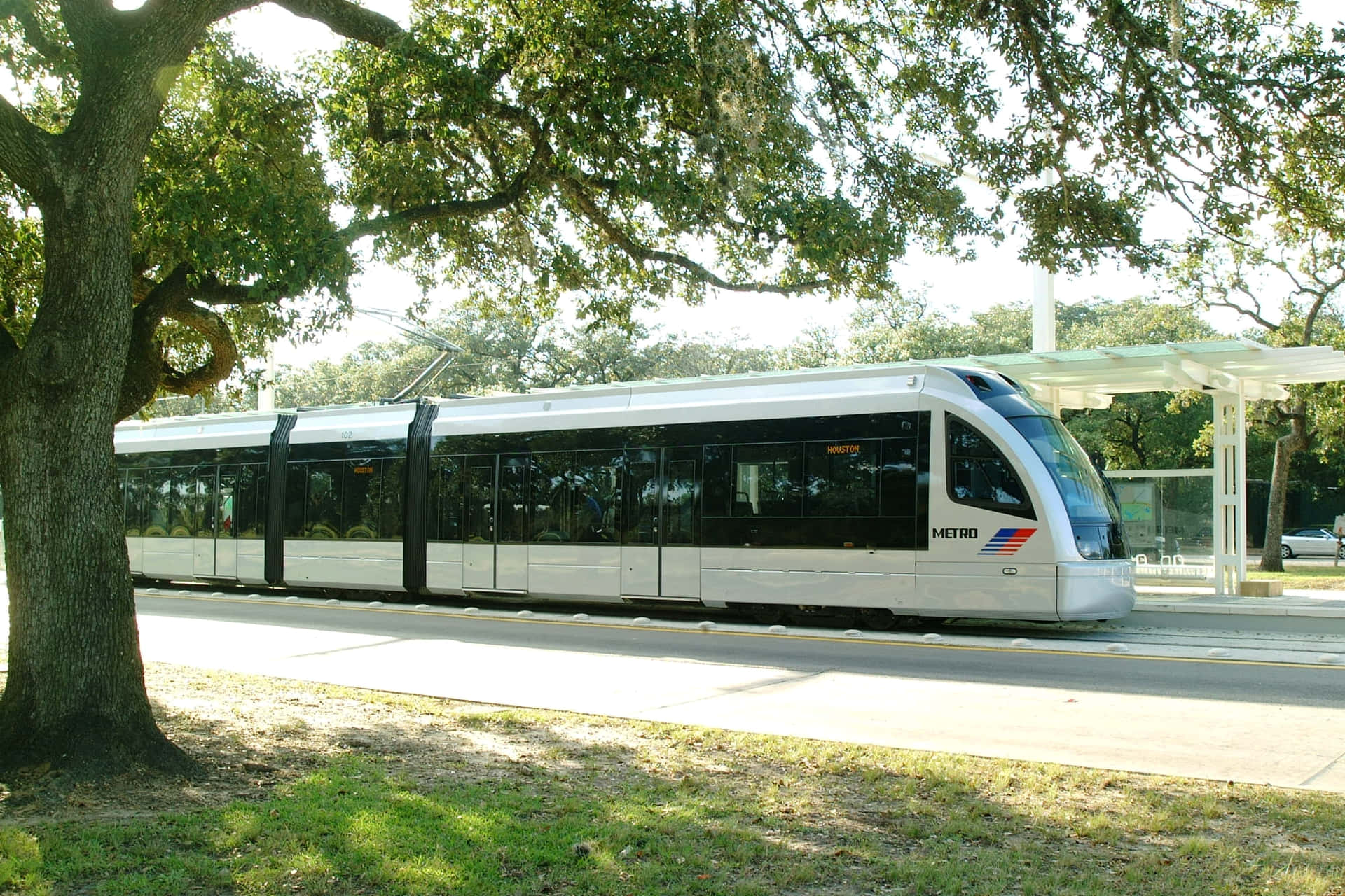 銀色現代電車在晴朗的日子裡經過枝葉繁茂的大樹下。