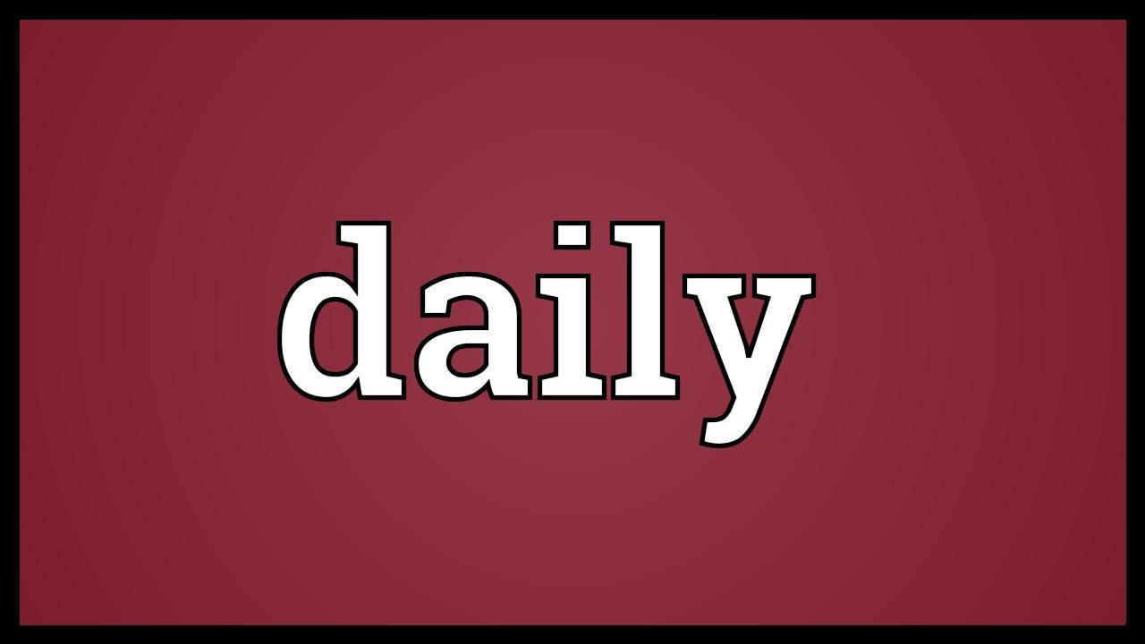 粗體白色文字「daily」在酒紅色背景上，帶有黑色邊框。