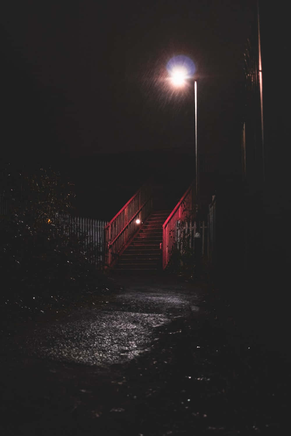 城市燈光下的浪漫夜晚 壁紙 — 一盞孤獨的路燈在漆黑的夜空下，為濕漉漉的樓梯和欄杆投下溫暖的光芒。