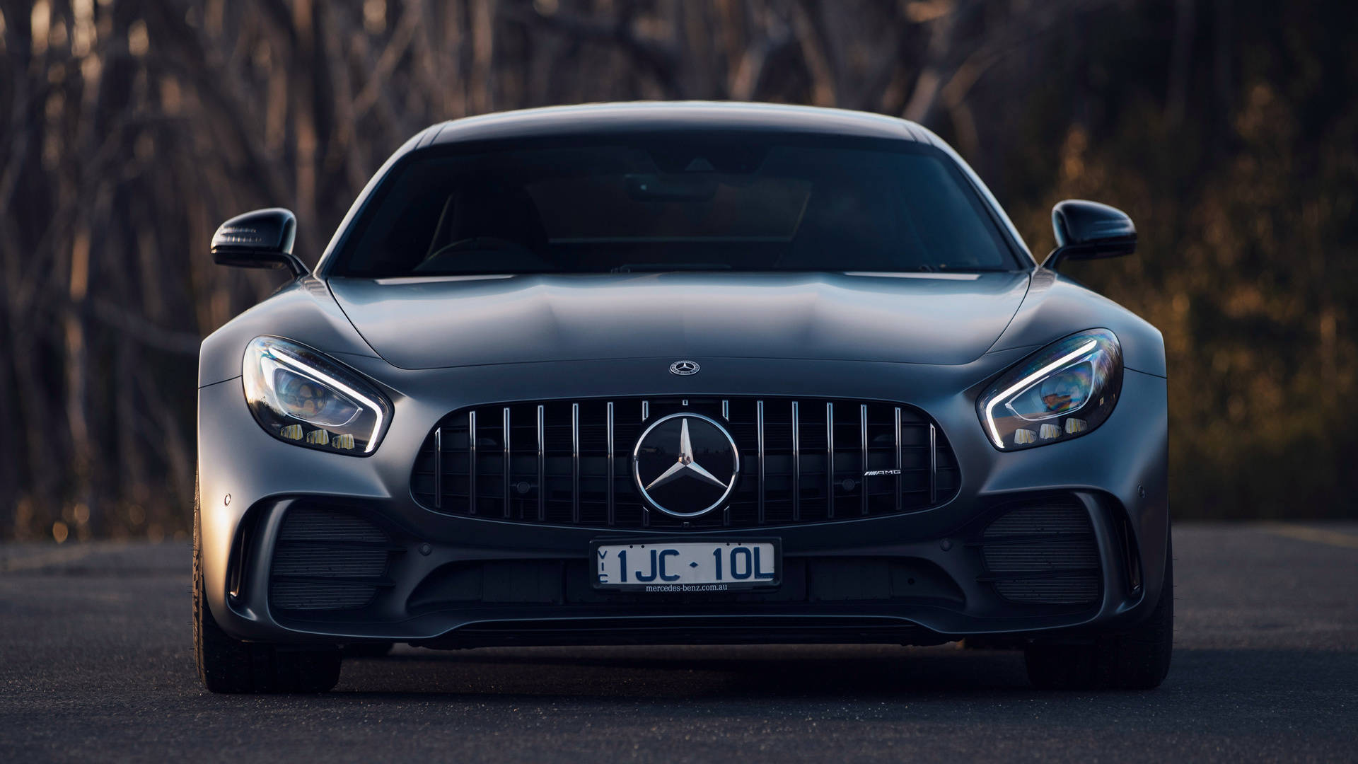 灰色梅賽德斯-AMG GT跑車在道路上，後面有樹木的前視圖。