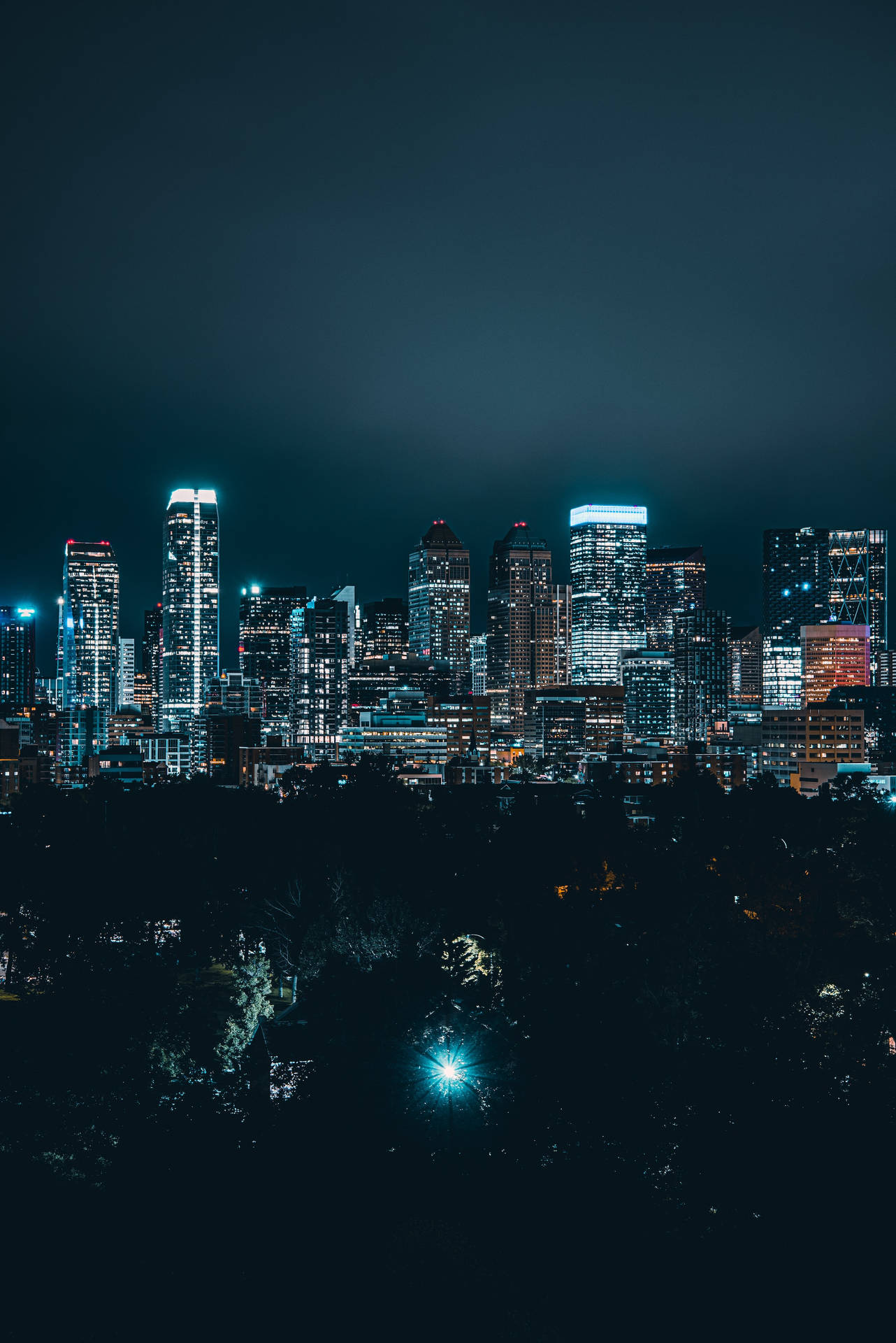 城市天際線的夜景，有燈火通明的摩天大樓和前景的黑暗樹木。