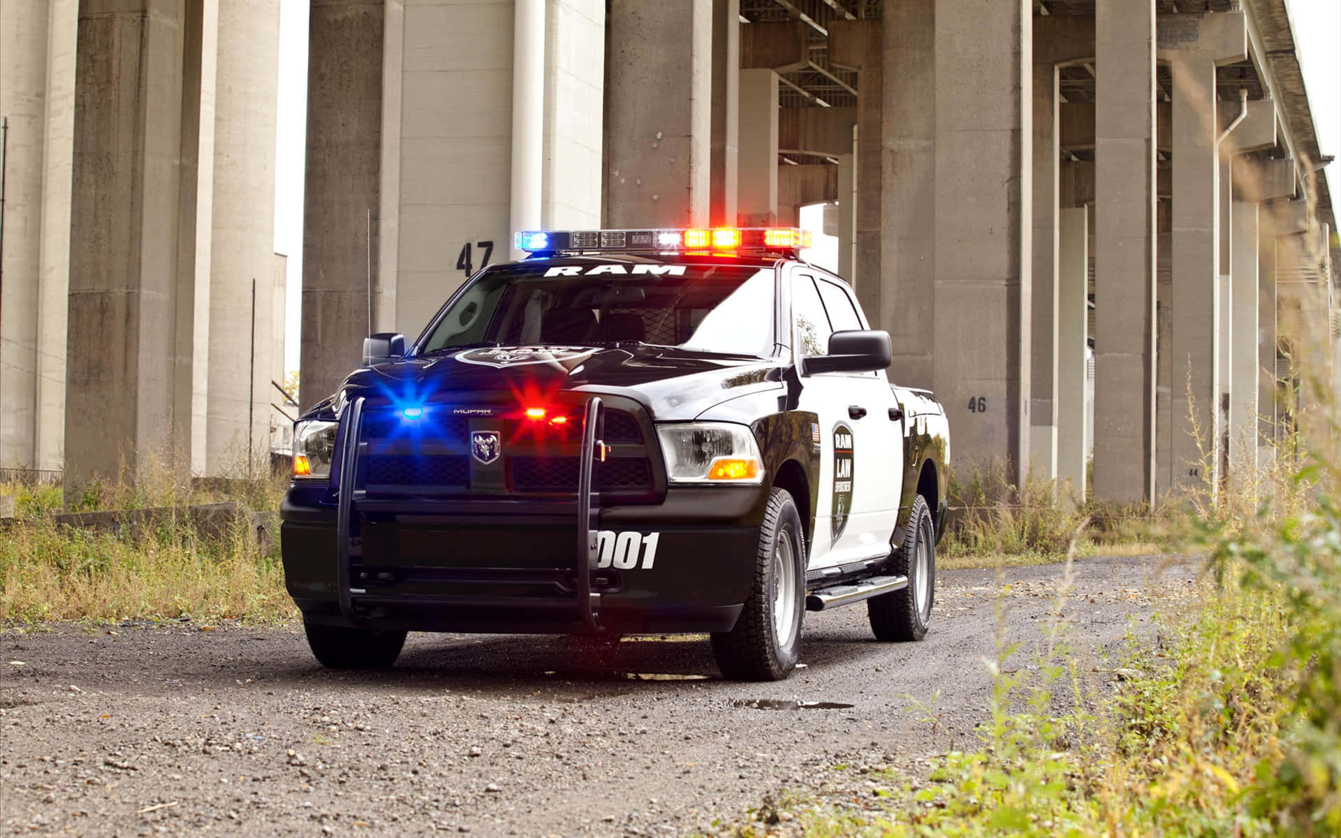 混凝土天橋下閃爍燈光的警用卡車。