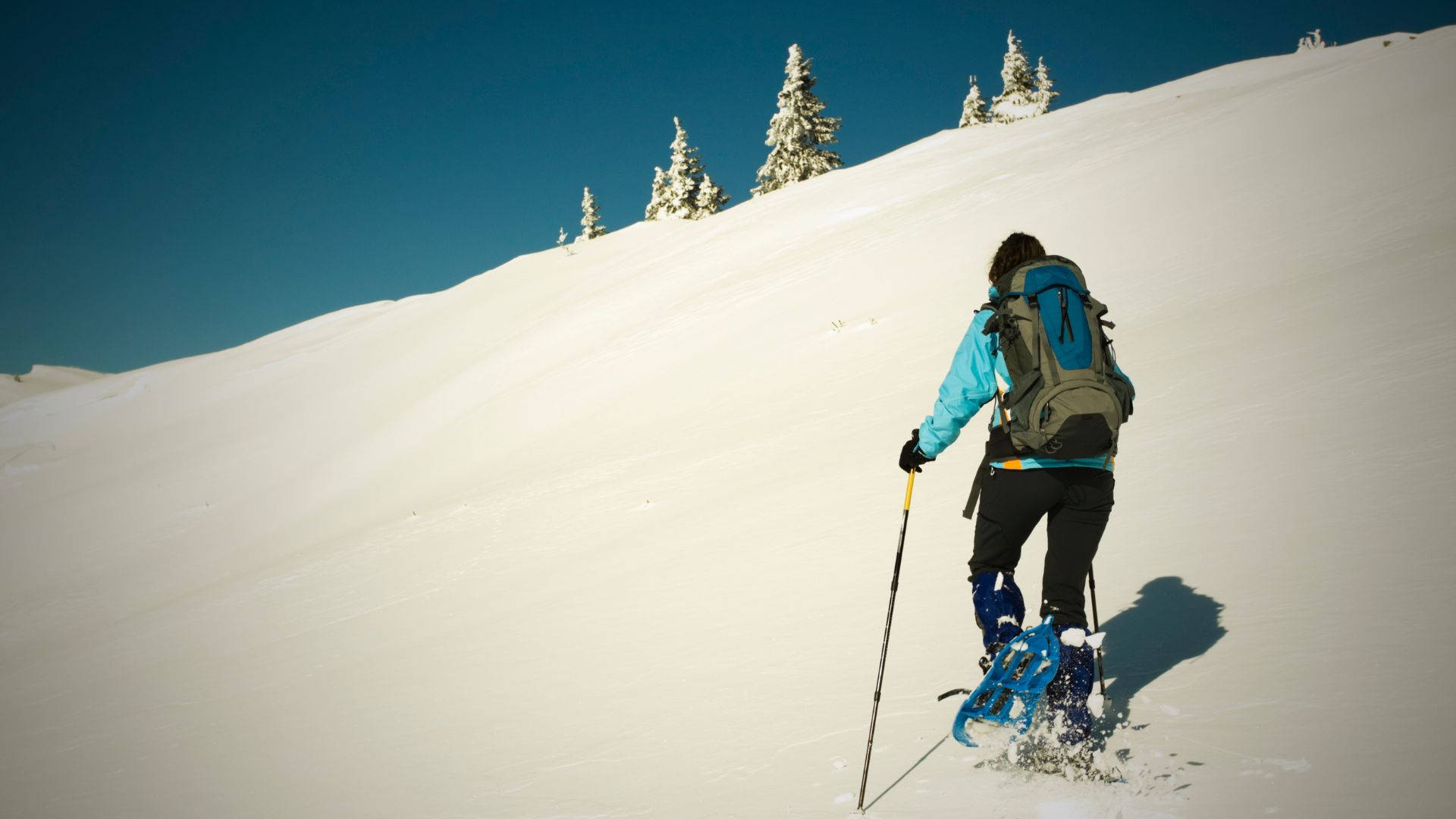堅定的雪鞋健行者踏上 uphill 後山之旅 壁紙 — 一位穿著雪鞋、拿著登山杖的遠足者，在晴朗的藍天下，攀爬陡峭的雪坡，遠處是覆蓋著白雪的松樹。